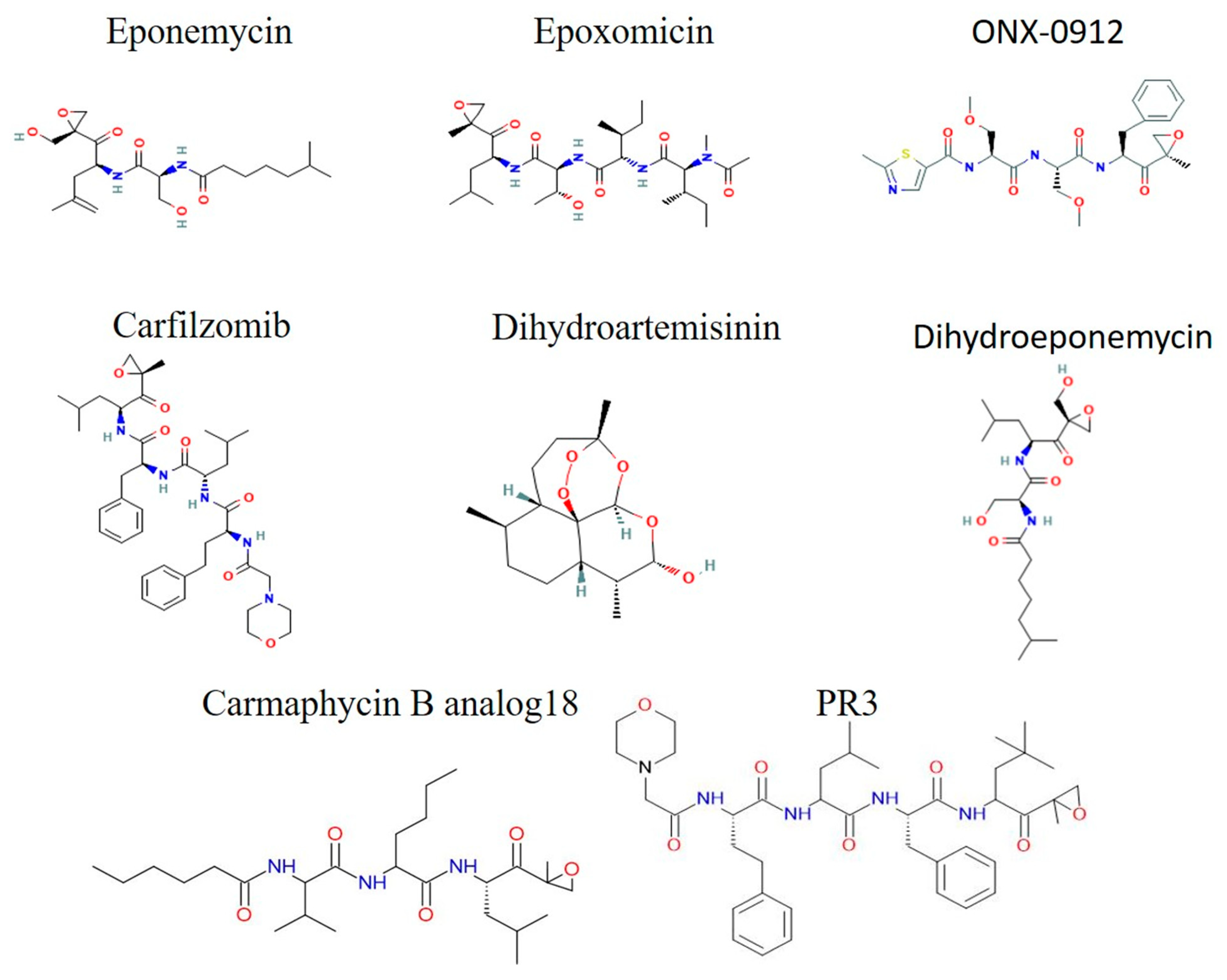 Tropicalmed 10 00094 g005