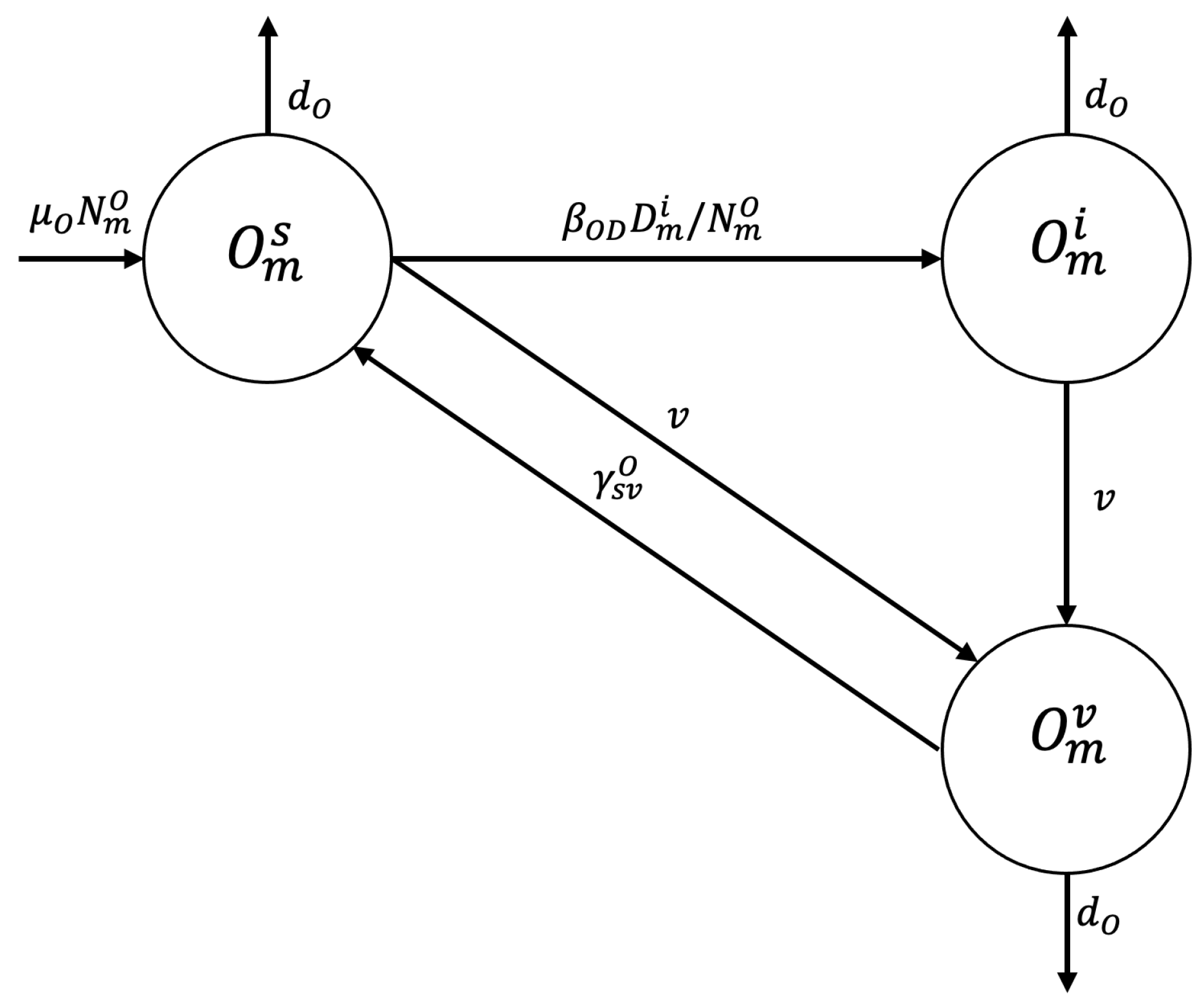 Tropicalmed 10 00101 g002