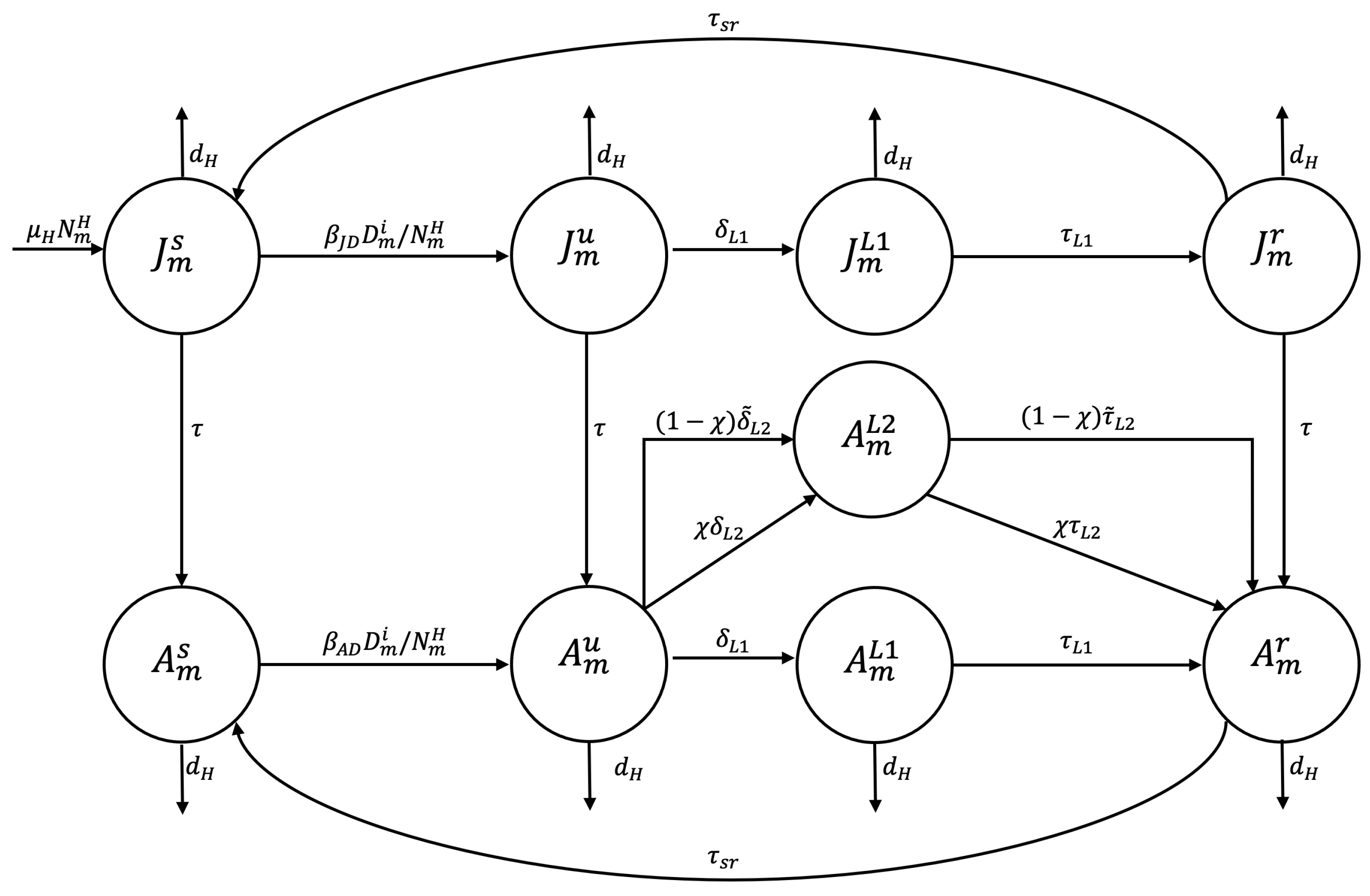 Tropicalmed 10 00101 g003