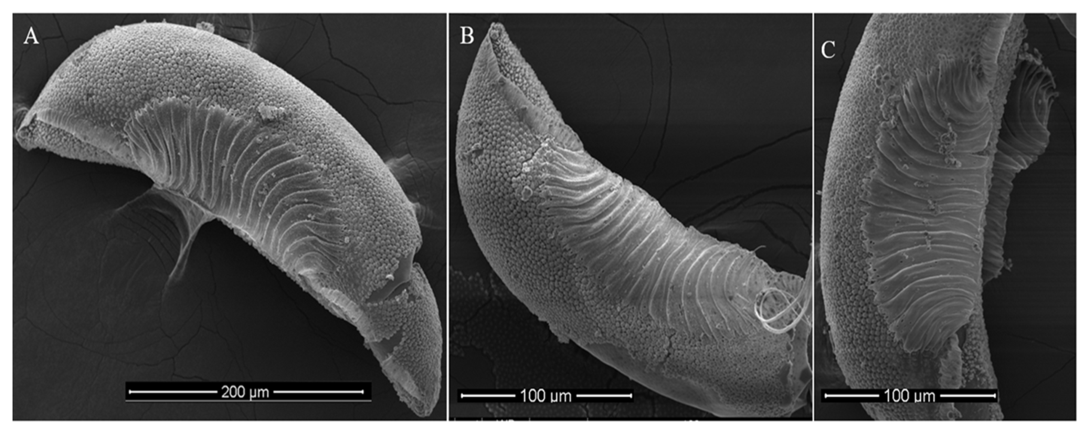 Tropicalmed 10 00109 g002