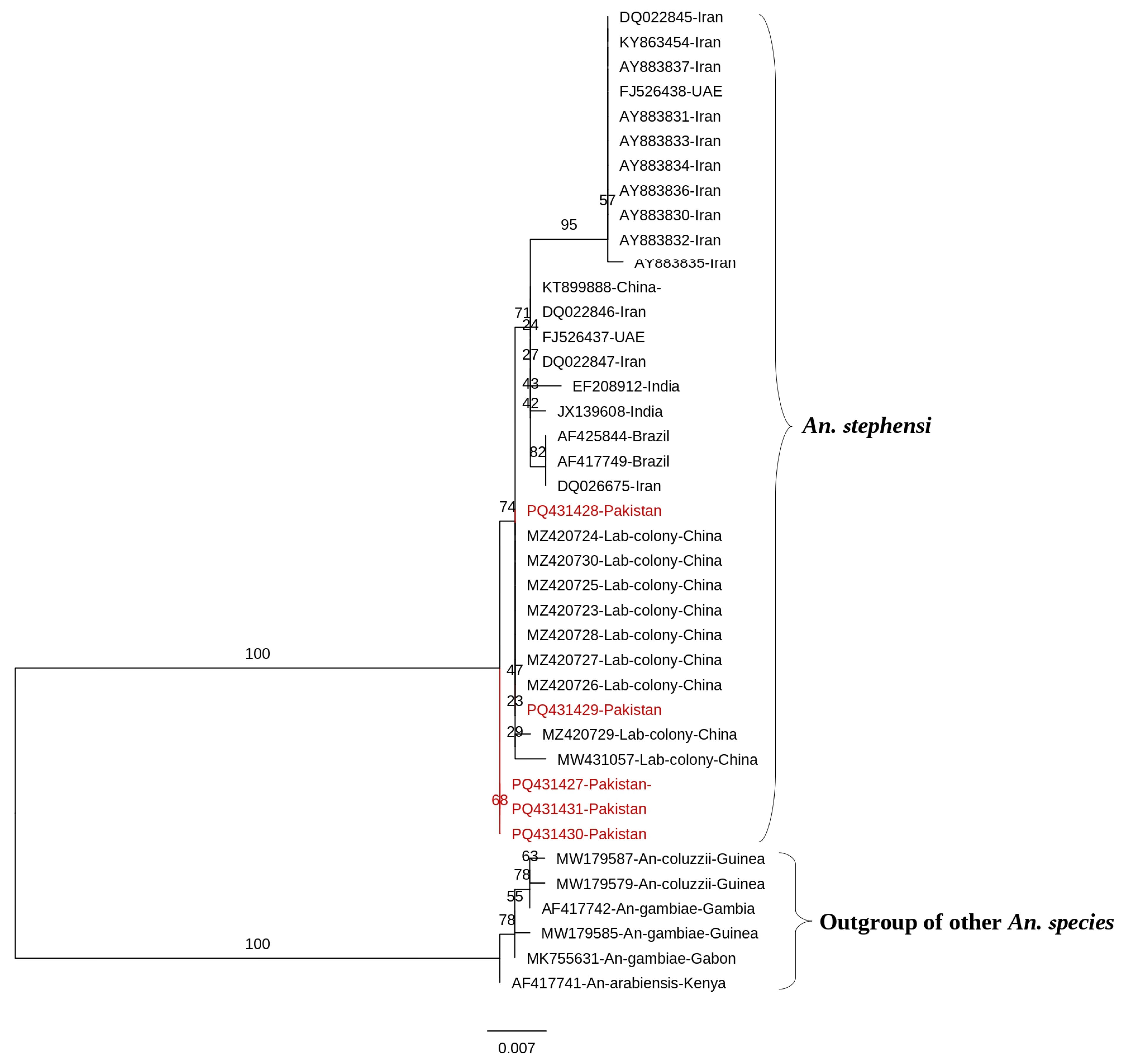 Tropicalmed 10 00109 g004