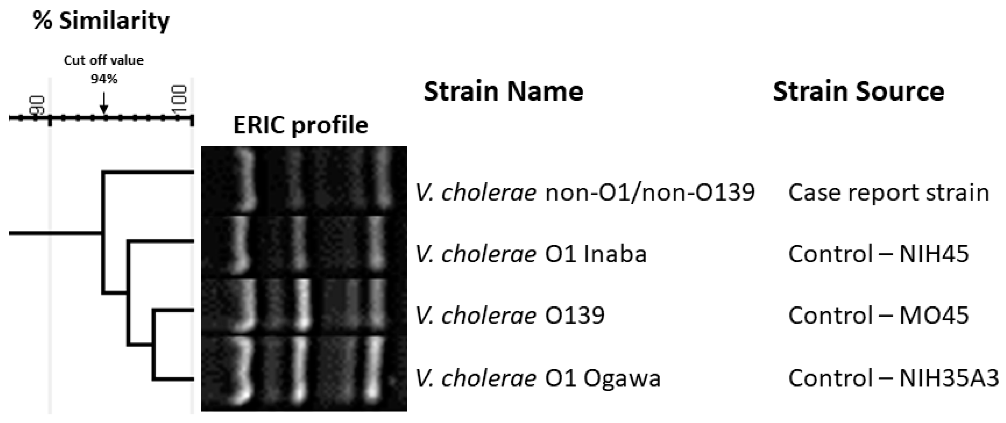 Tropicalmed 10 00110 g005