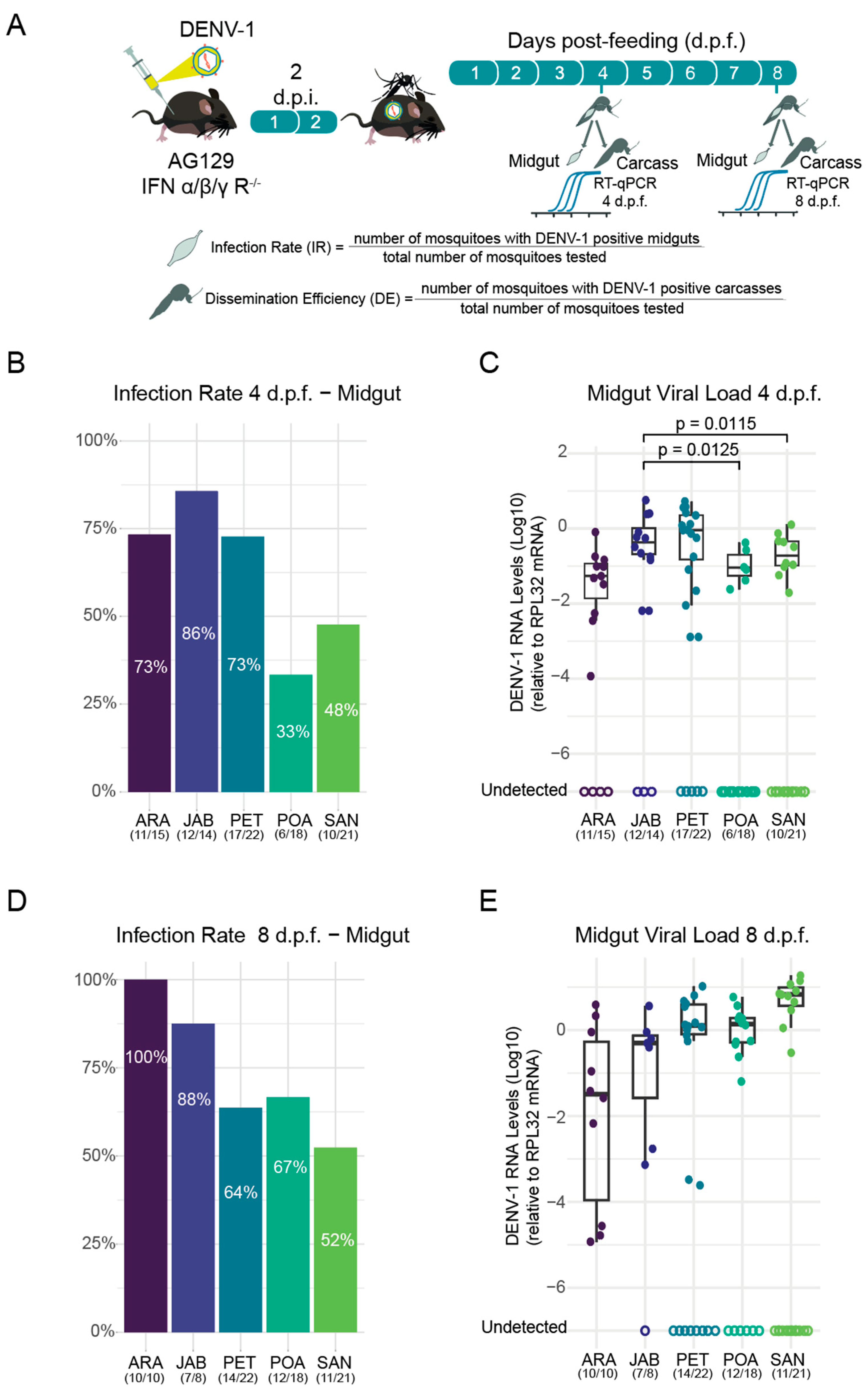 Tropicalmed 10 00112 g002