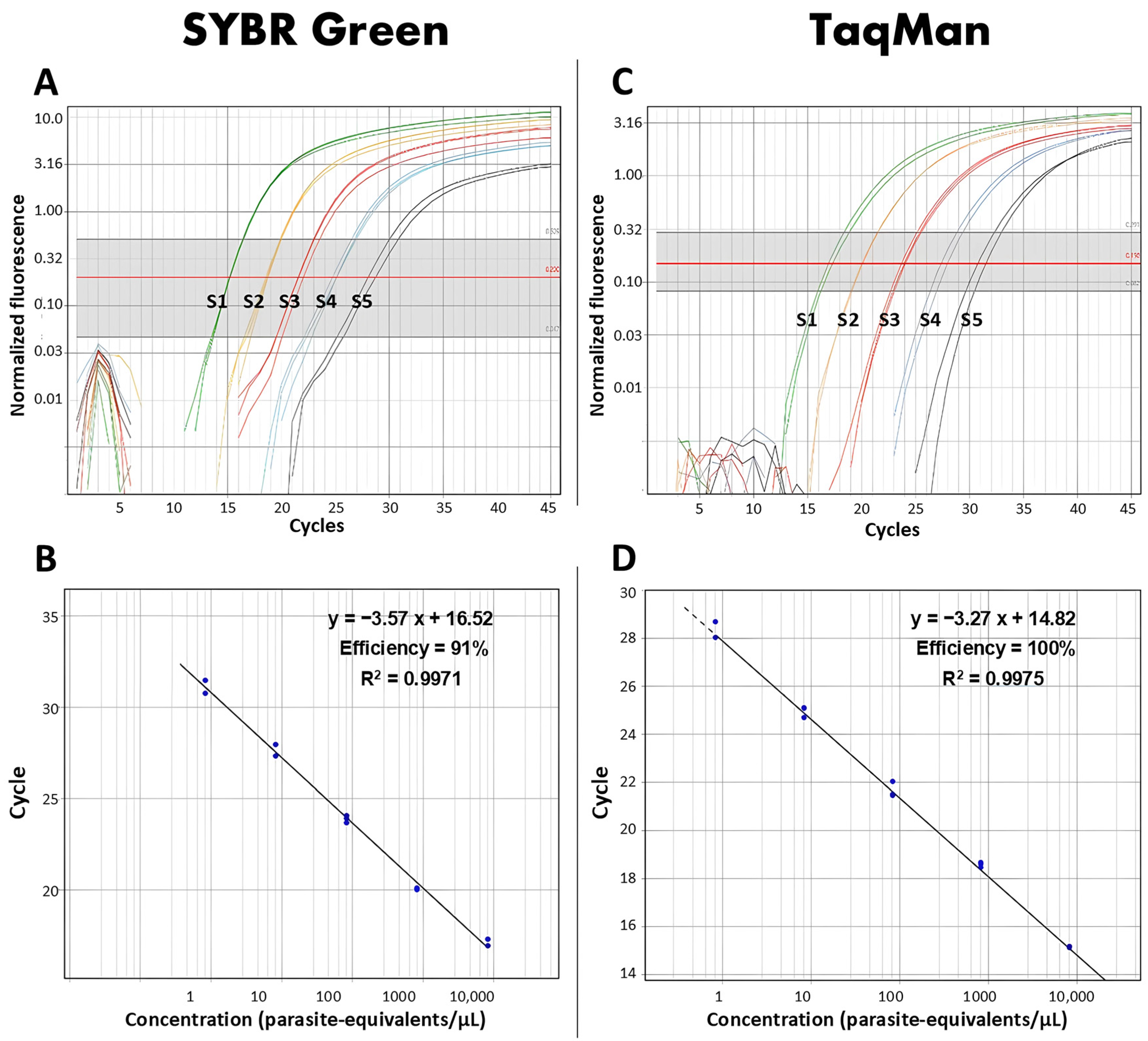 Tropicalmed 10 00121 g001