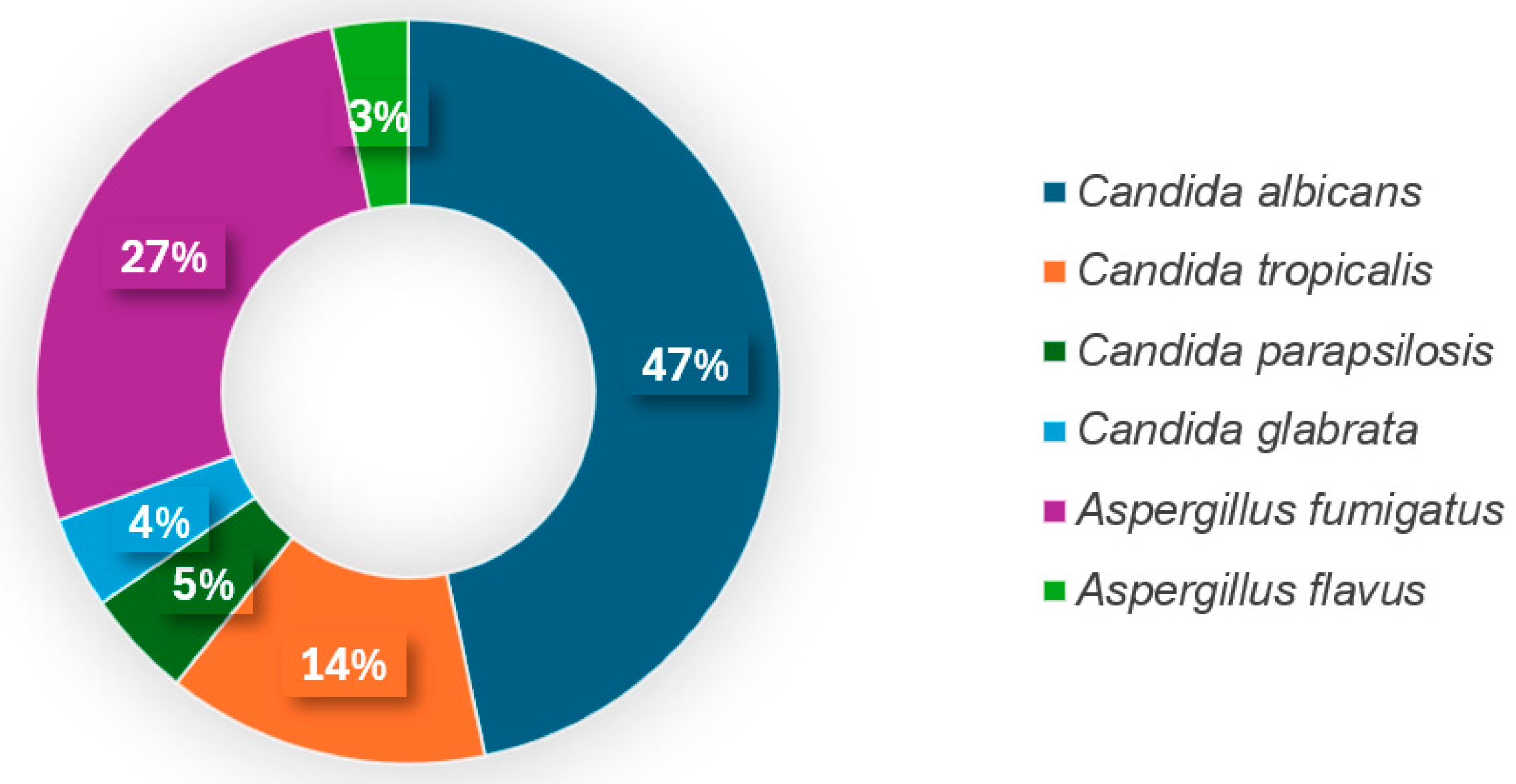 Tropicalmed 10 00124 g002
