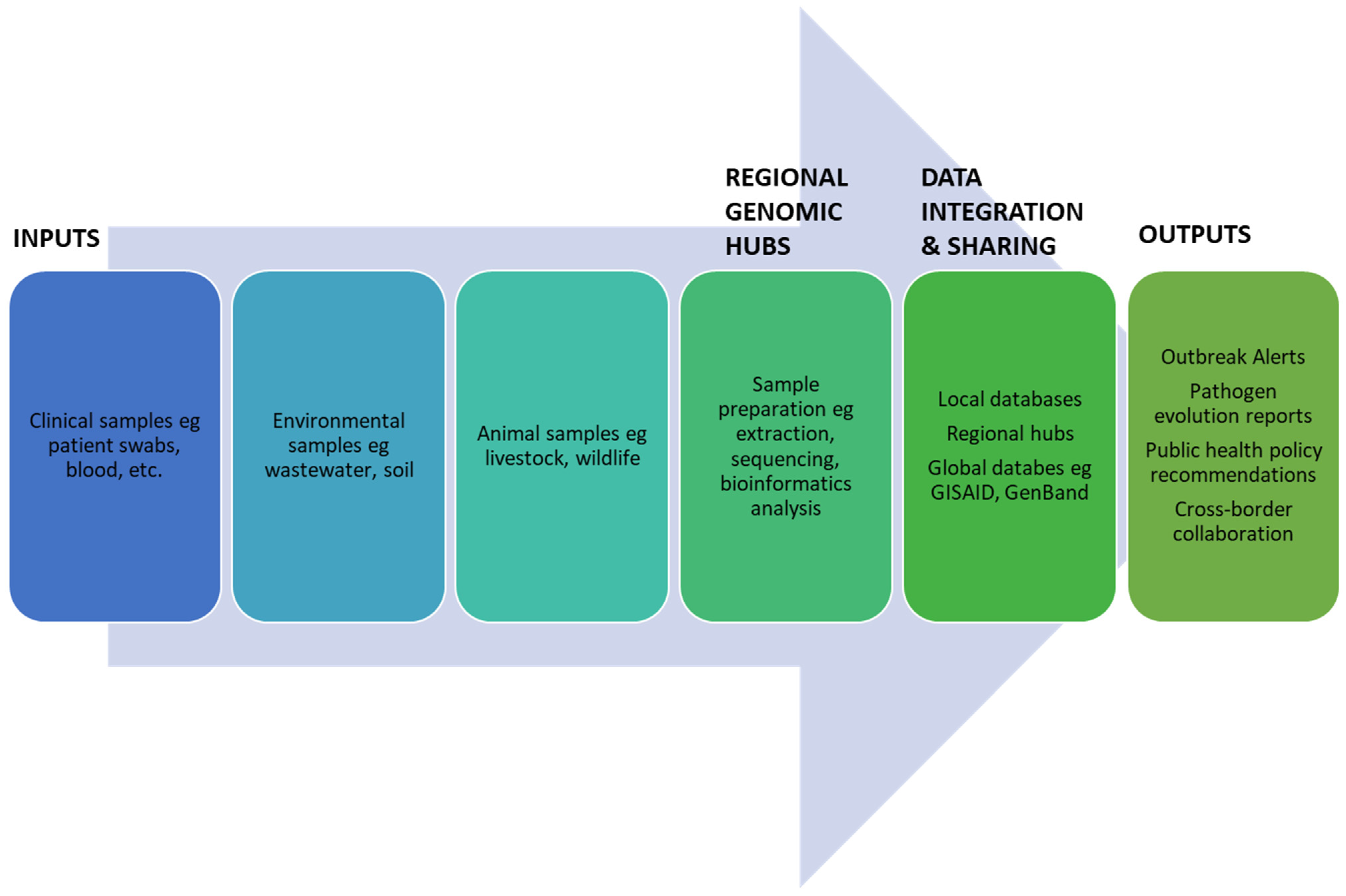 Tropicalmed 10 00129 g001
