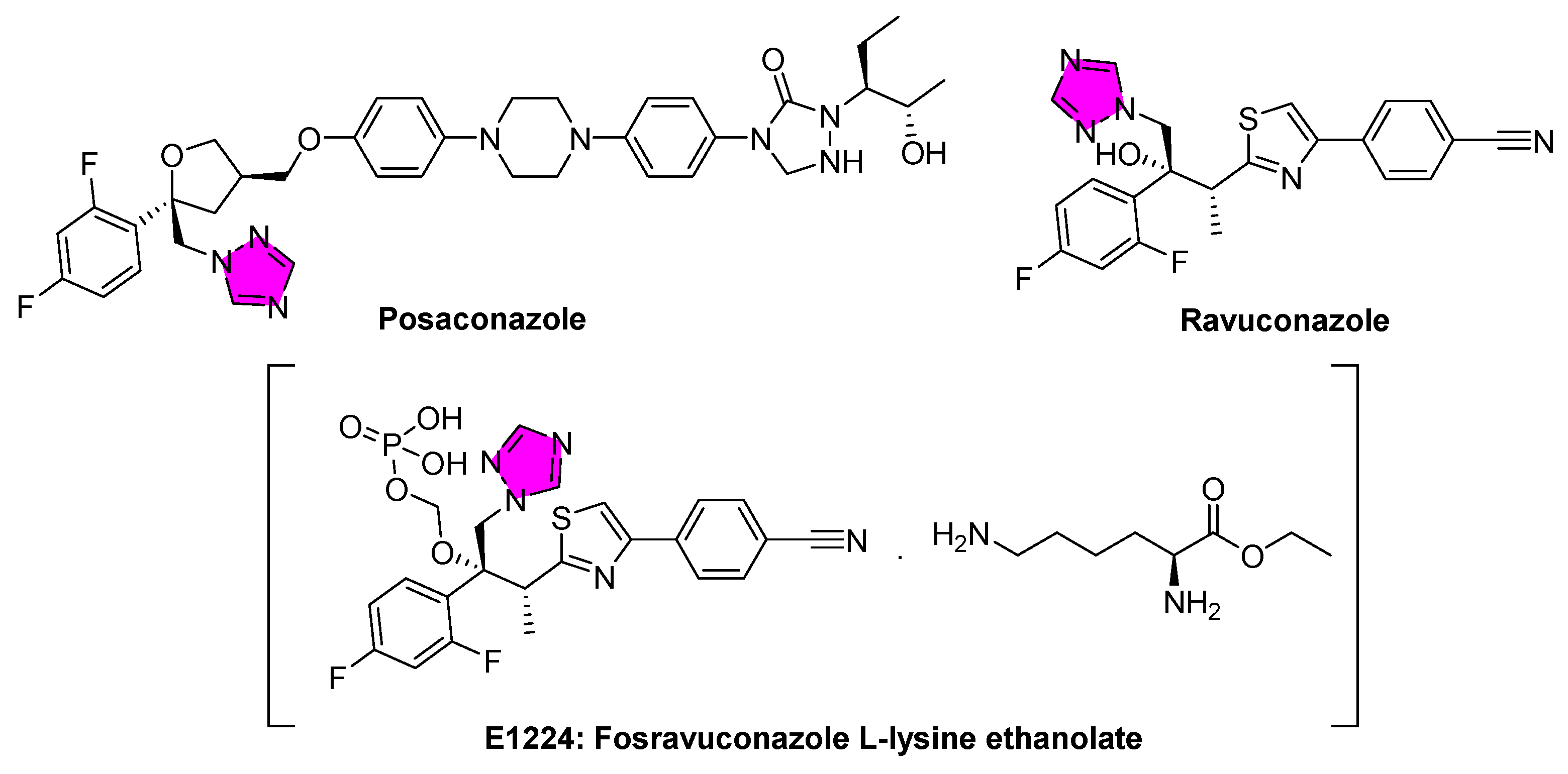 Tropicalmed 10 00142 g004