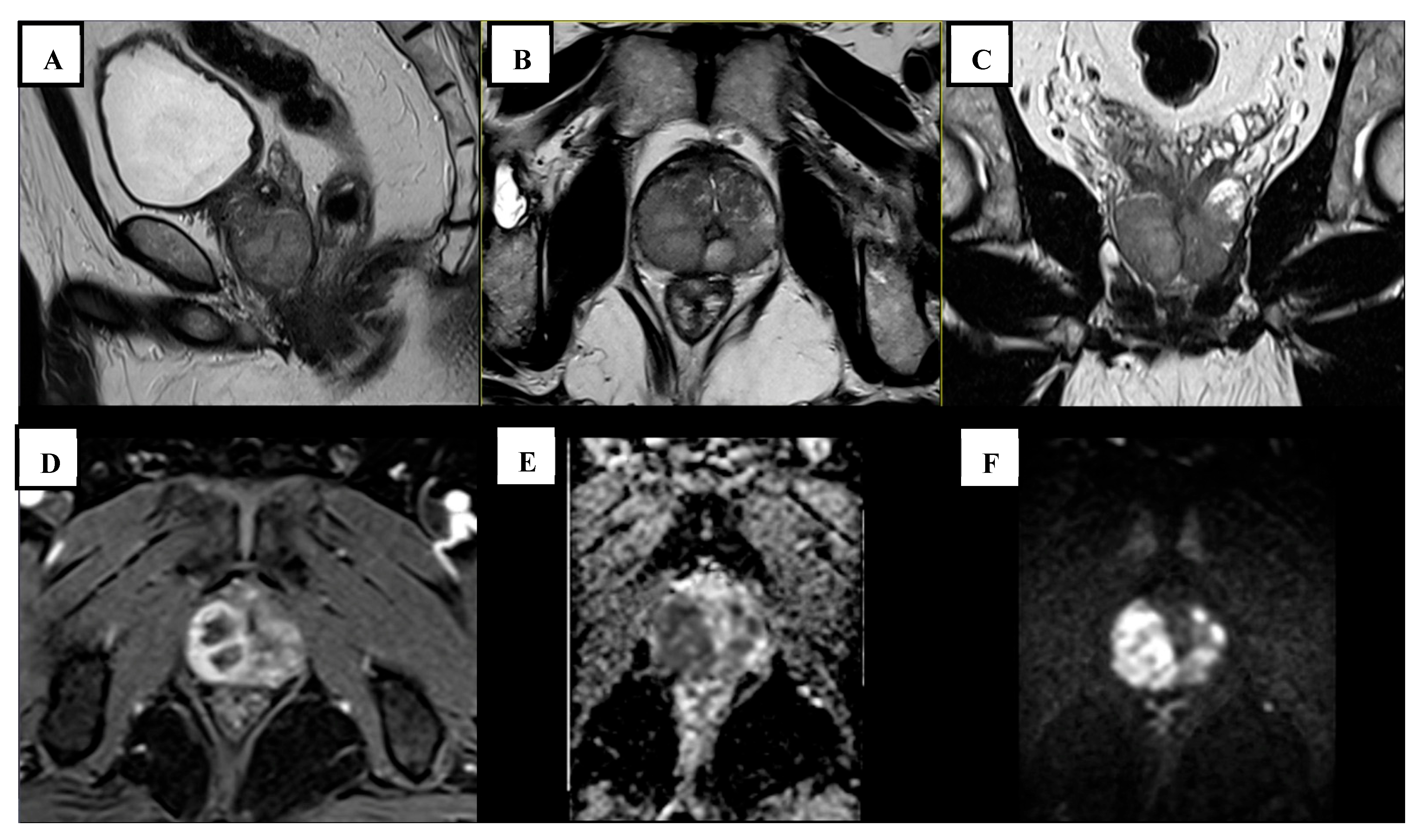 Tropicalmed 10 00145 g001