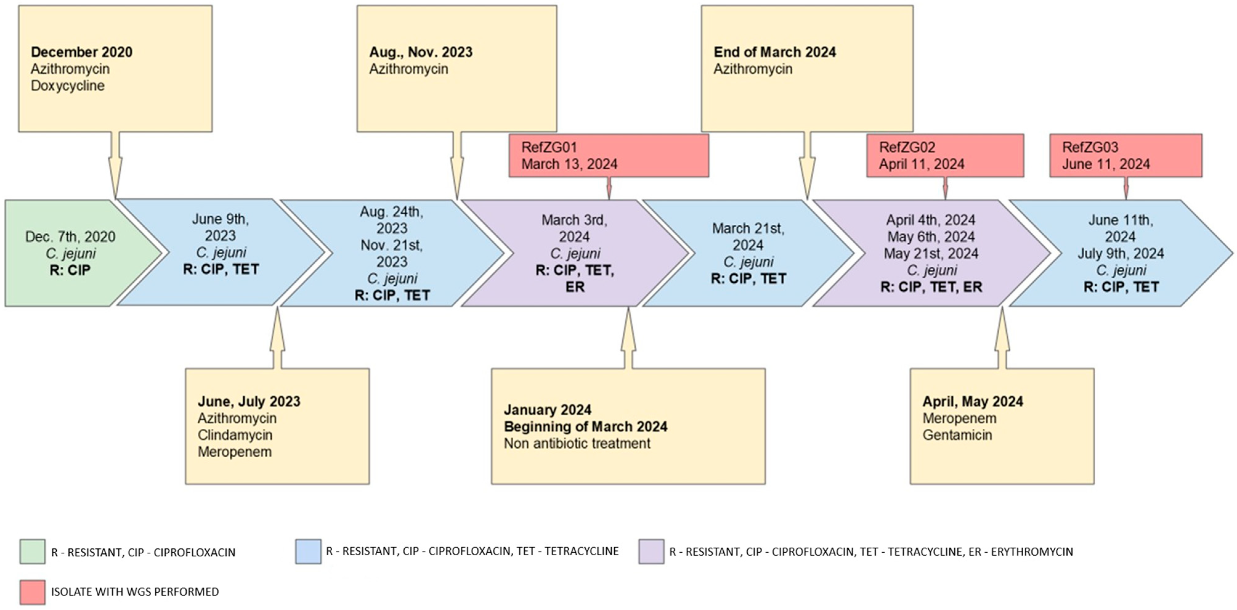 Tropicalmed 10 00165 g001