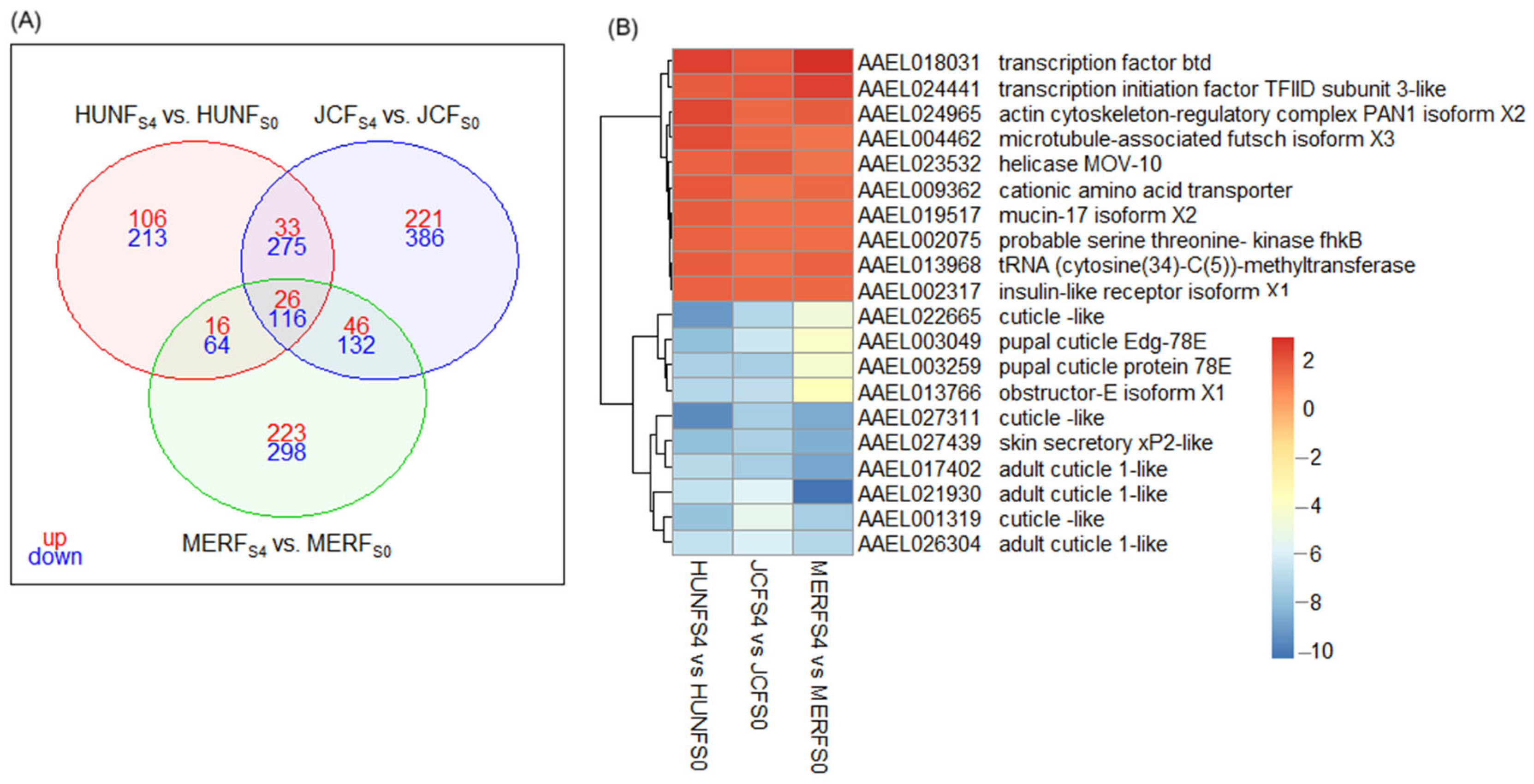 Tropicalmed 10 00171 g005 Tropicalmed 10 00171 g005