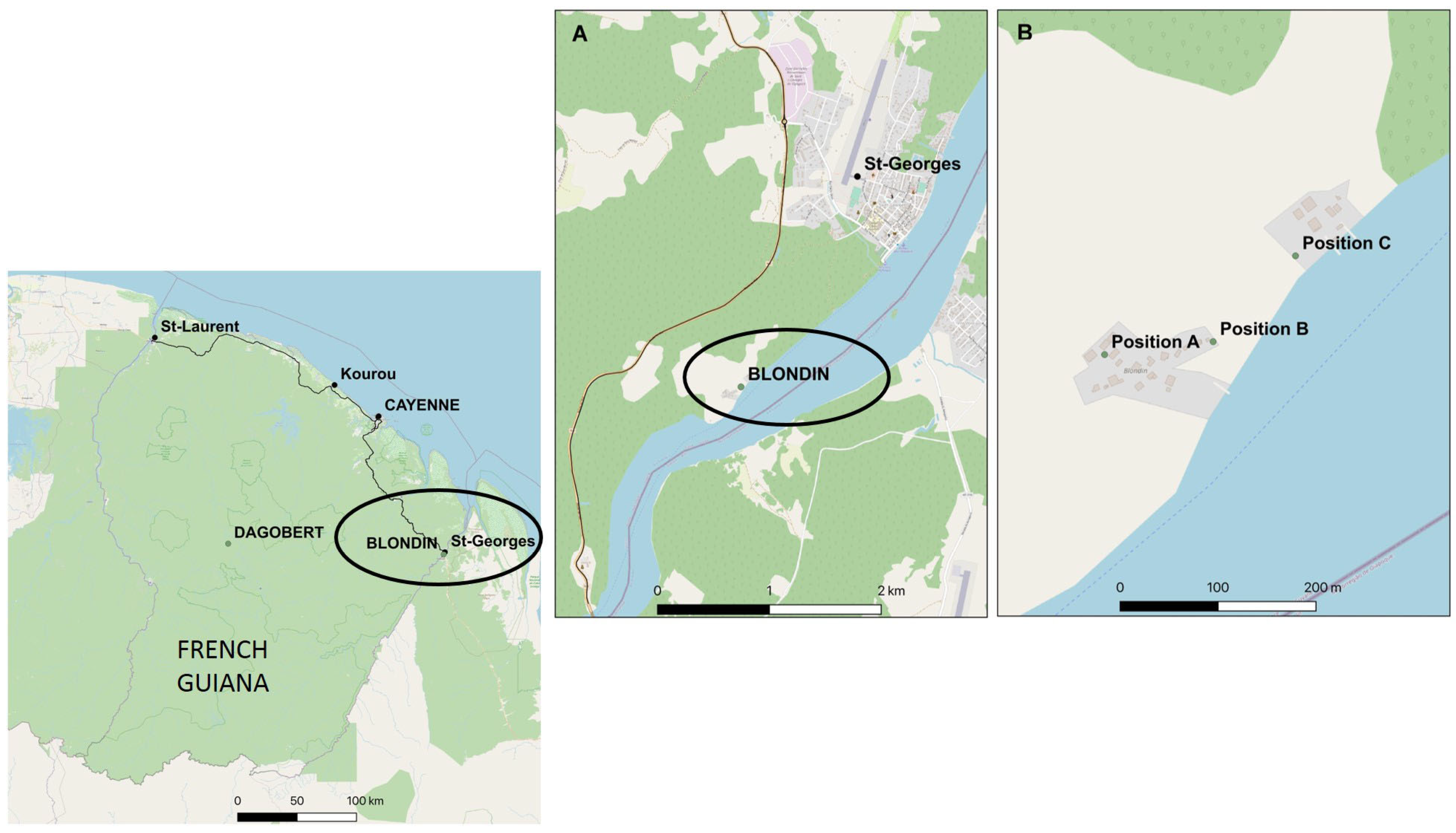 Tropicalmed 10 00174 g001