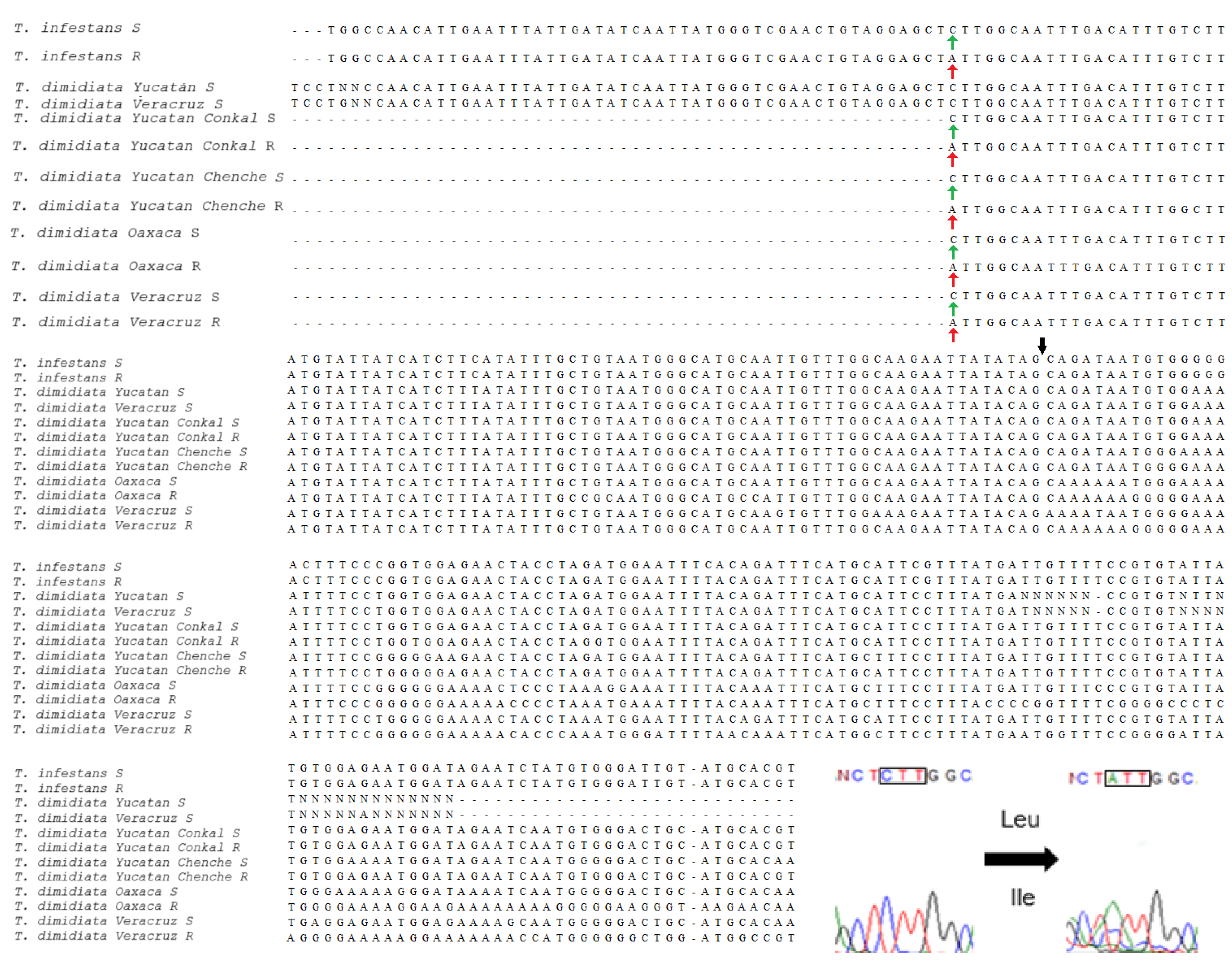 Tropicalmed 10 00182 g004 Tropicalmed 10 00182 g004