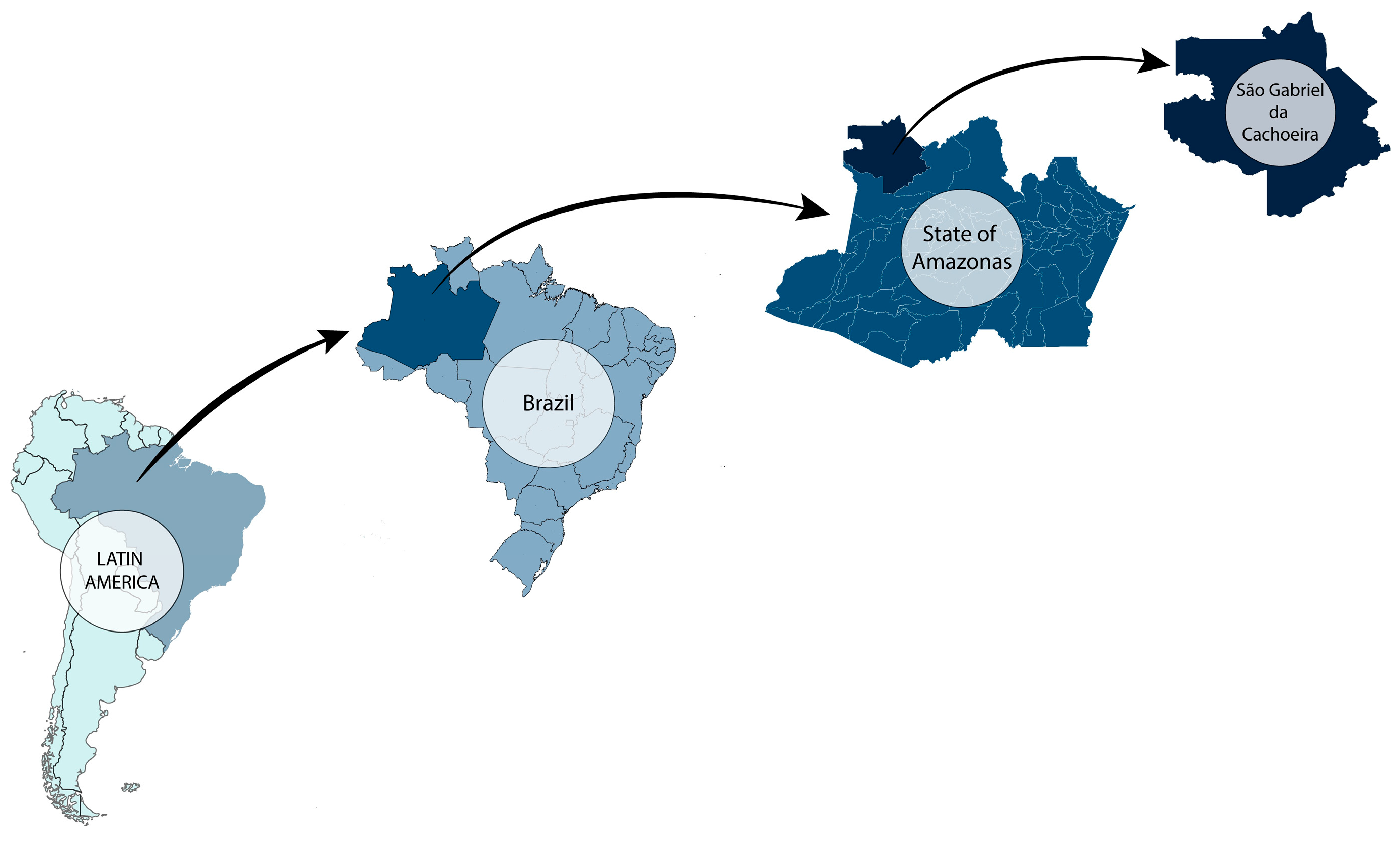 Tropicalmed 10 00186 g001