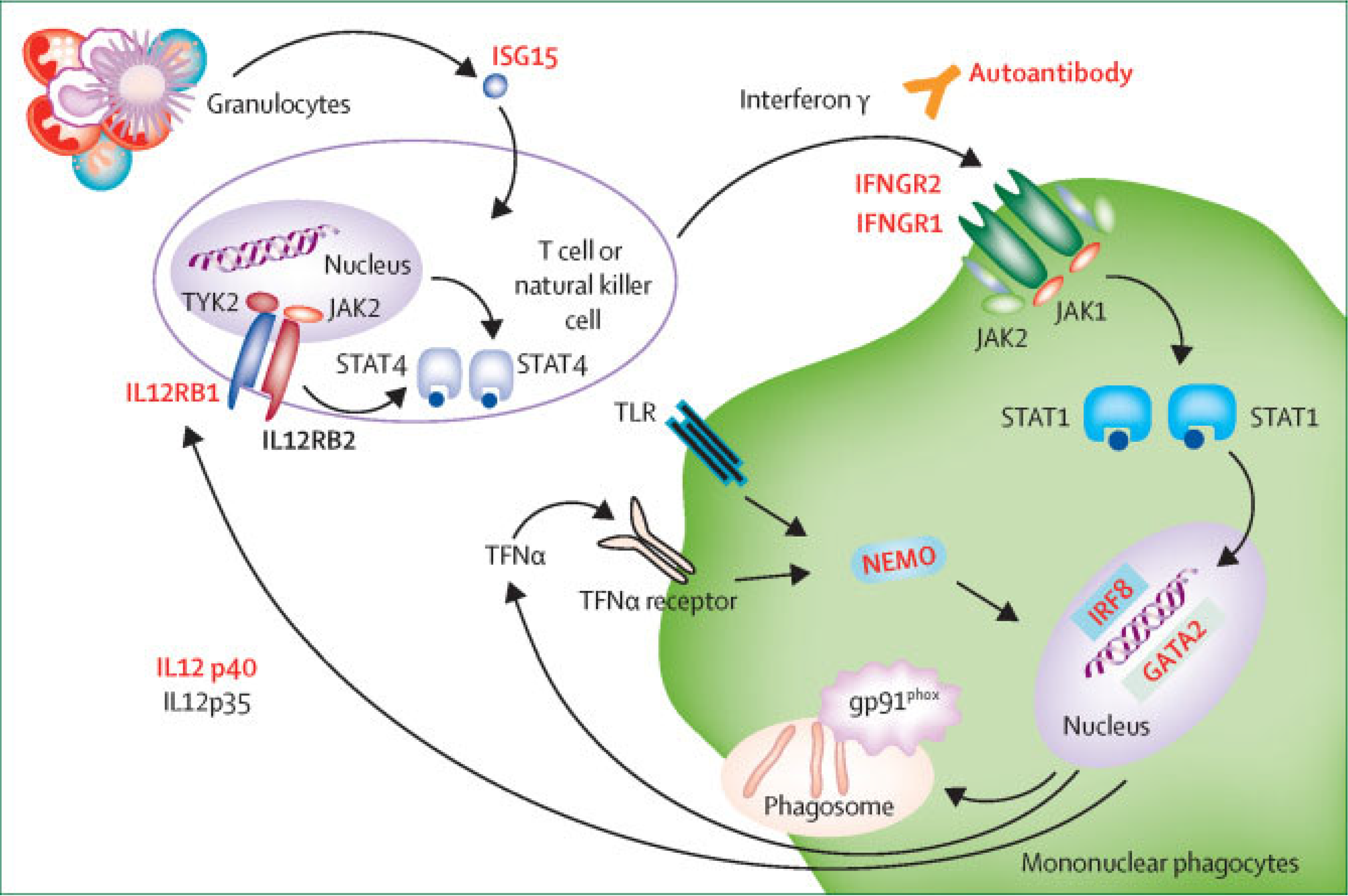 Tropicalmed 10 00202 g001 Tropicalmed 10 00202 g001