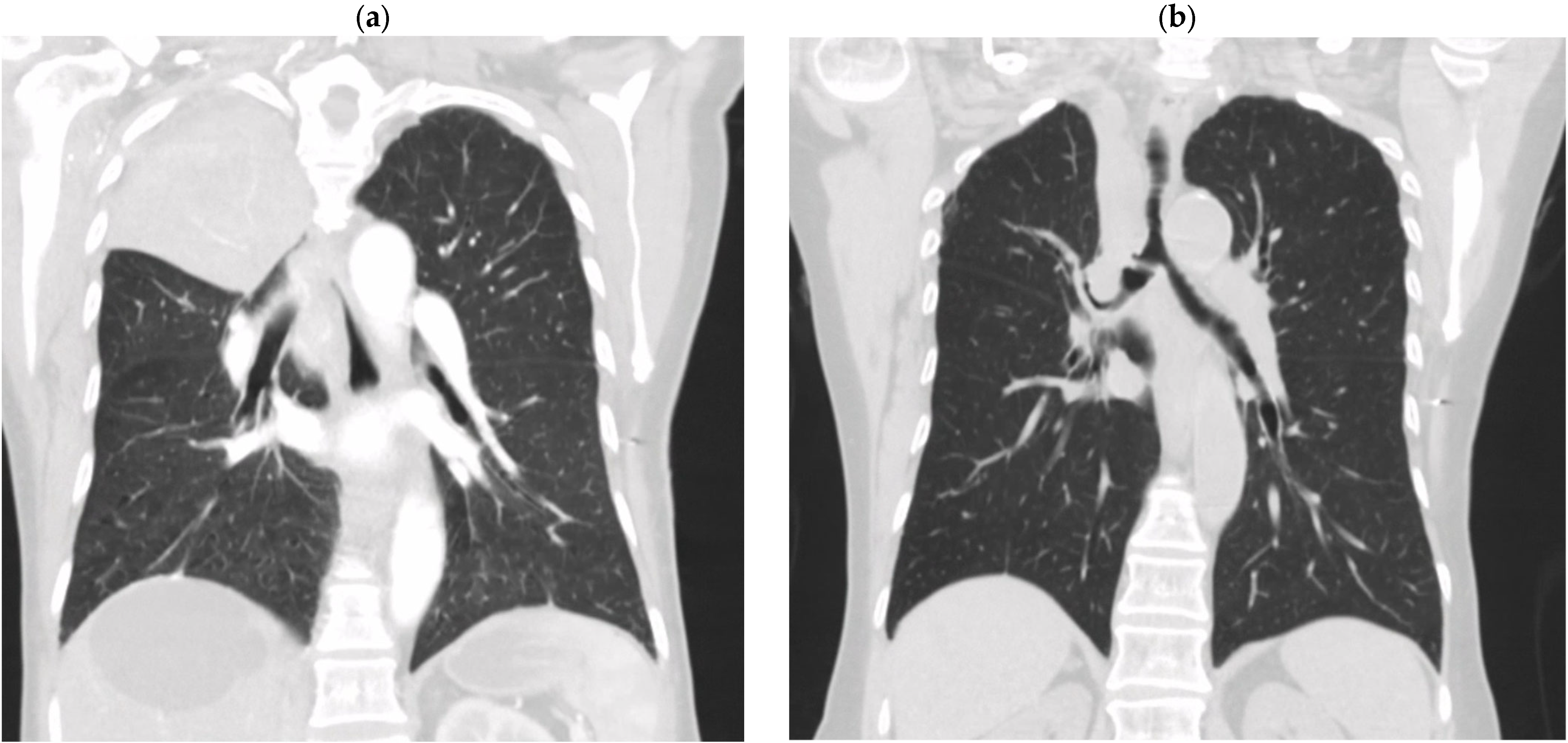 Tropicalmed 10 00202 g002 Tropicalmed 10 00202 g002