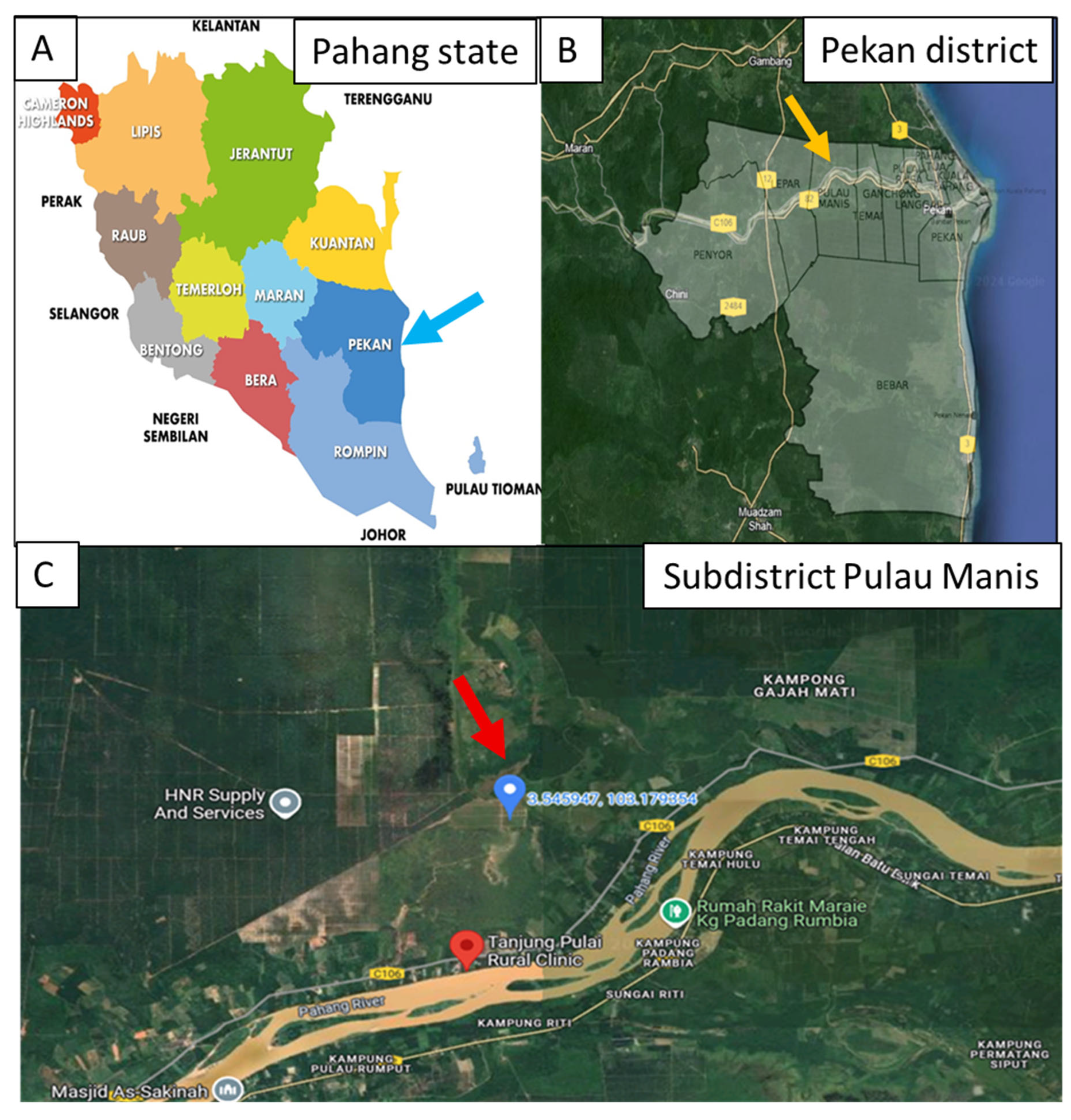 Tropicalmed 10 00208 g001 Tropicalmed 10 00208 g001