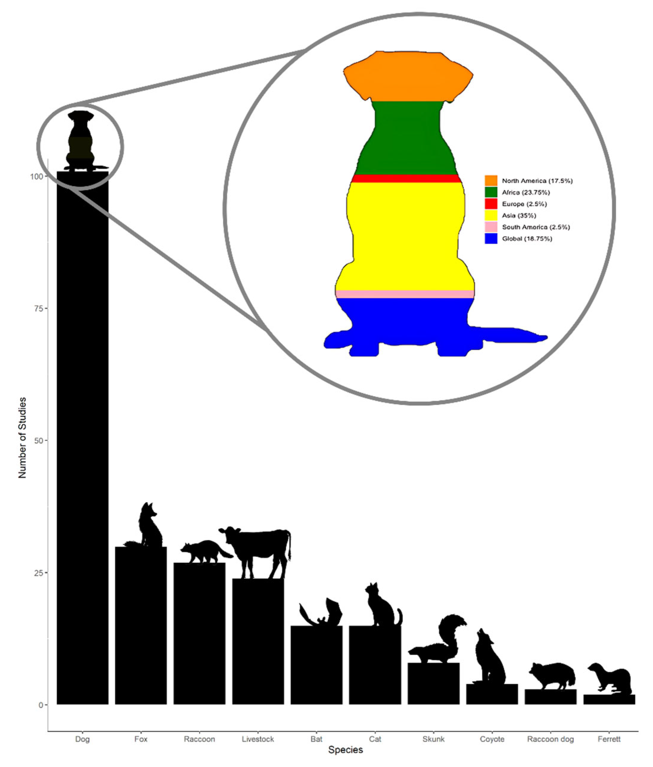Tropicalmed 10 00222 g006