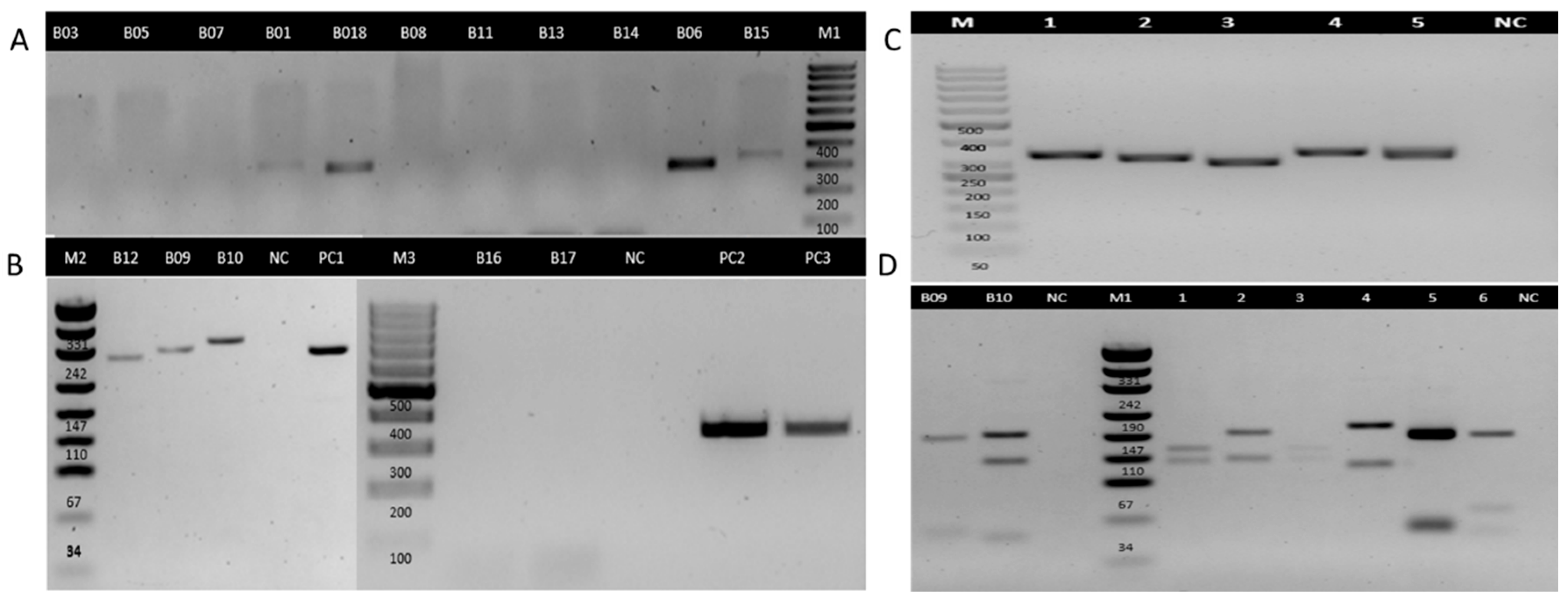 Tropicalmed 10 00232 g005 Tropicalmed 10 00232 g005