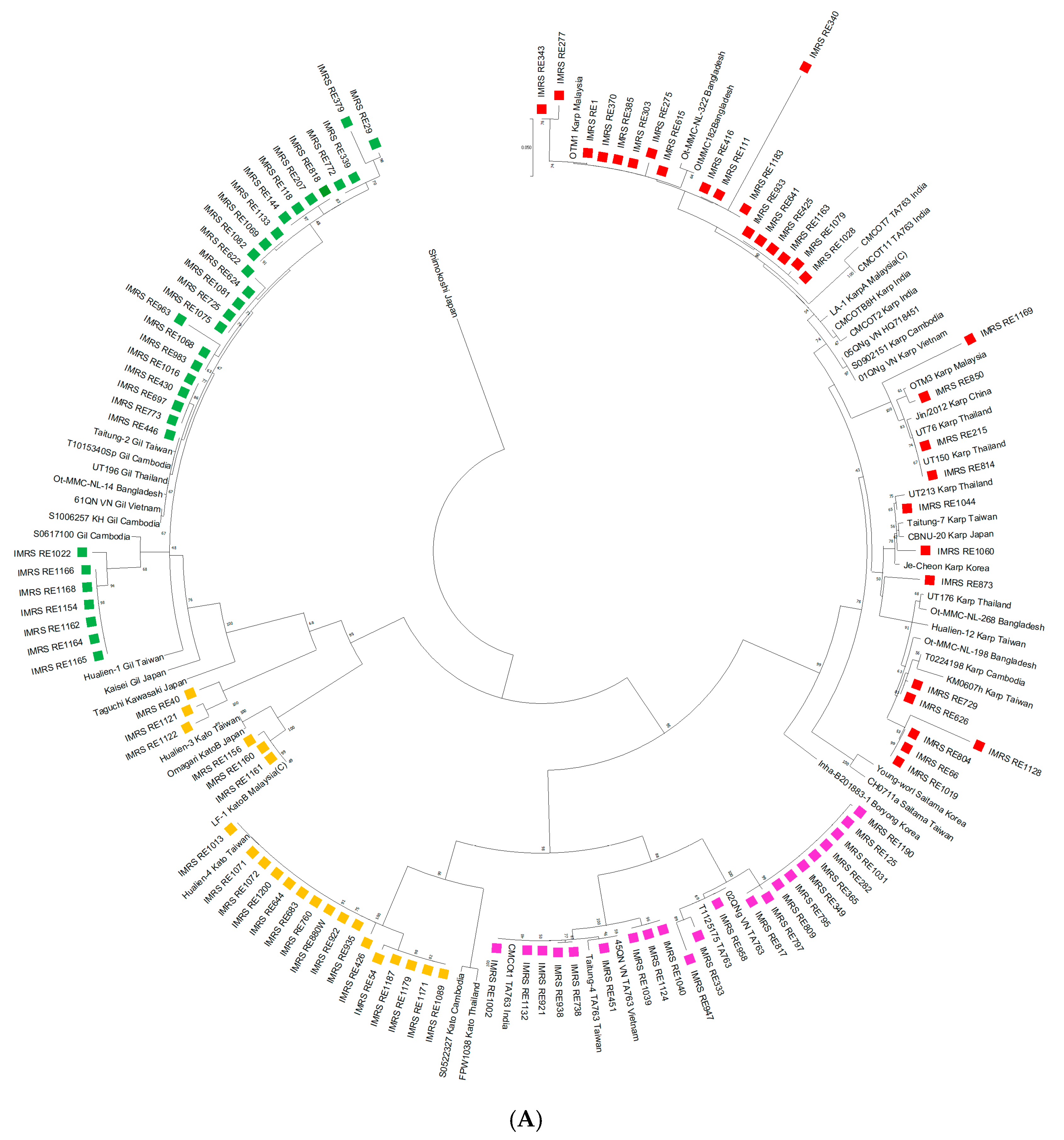 Tropicalmed 10 00252 g001a Tropicalmed 10 00252 g001a