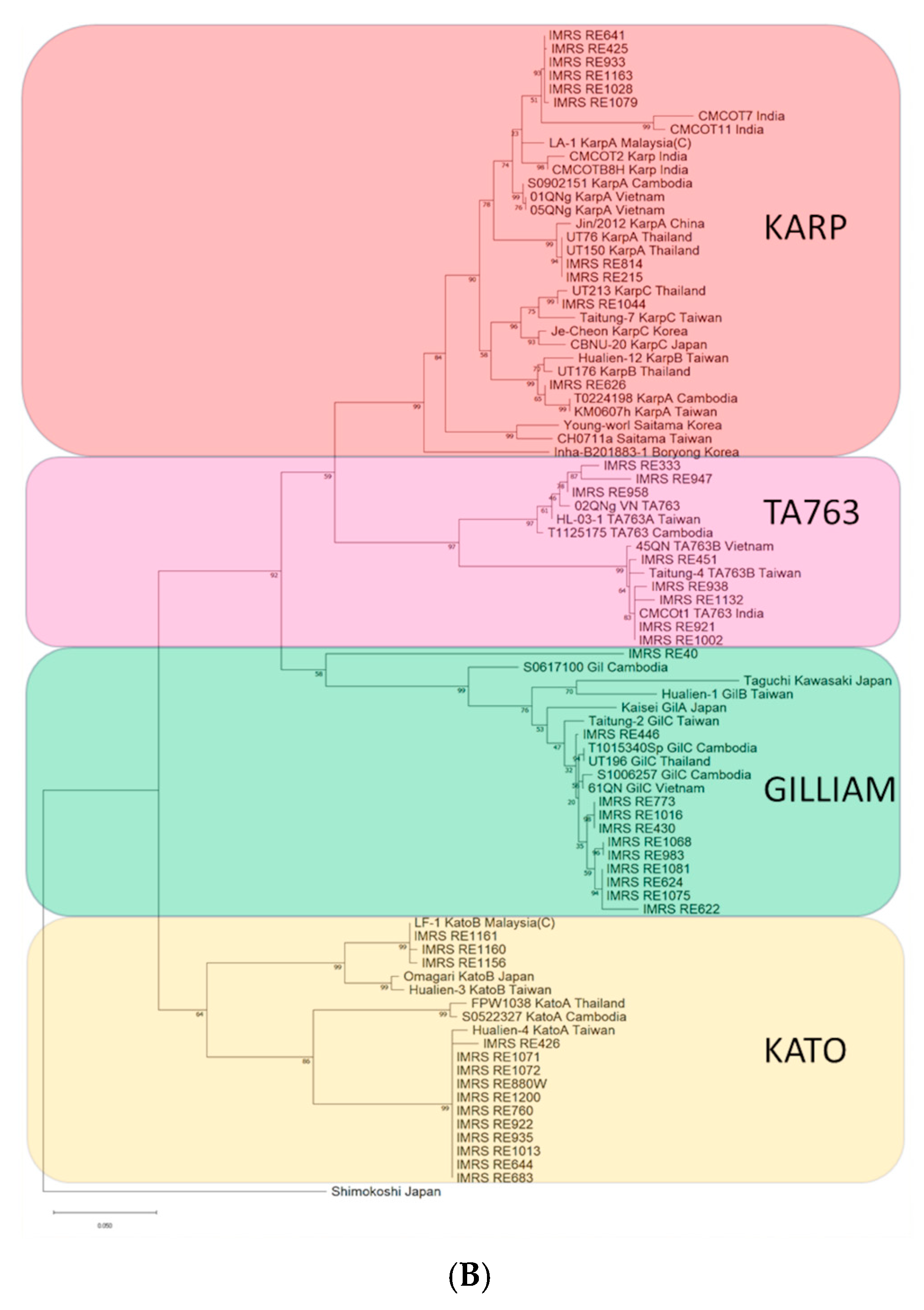 Tropicalmed 10 00252 g001b Tropicalmed 10 00252 g001b