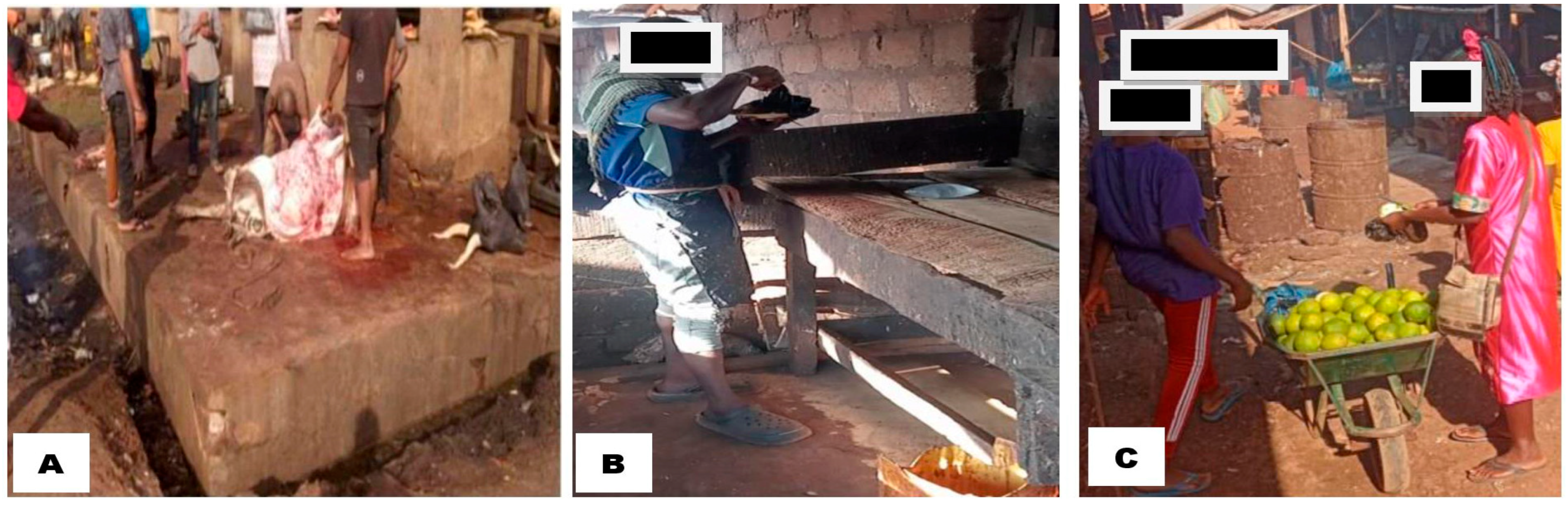 Tropicalmed 10 00265 g003 Tropicalmed 10 00265 g003