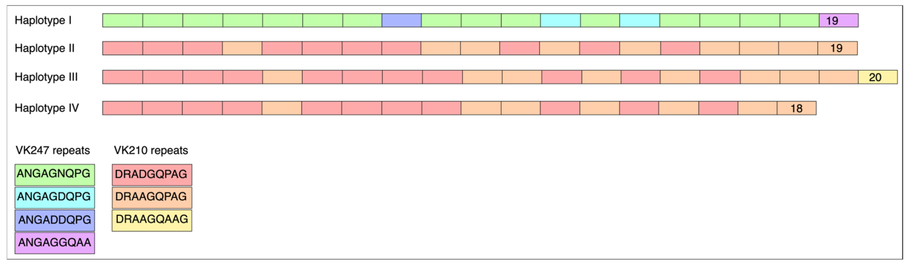 Tropicalmed 10 00292 g001