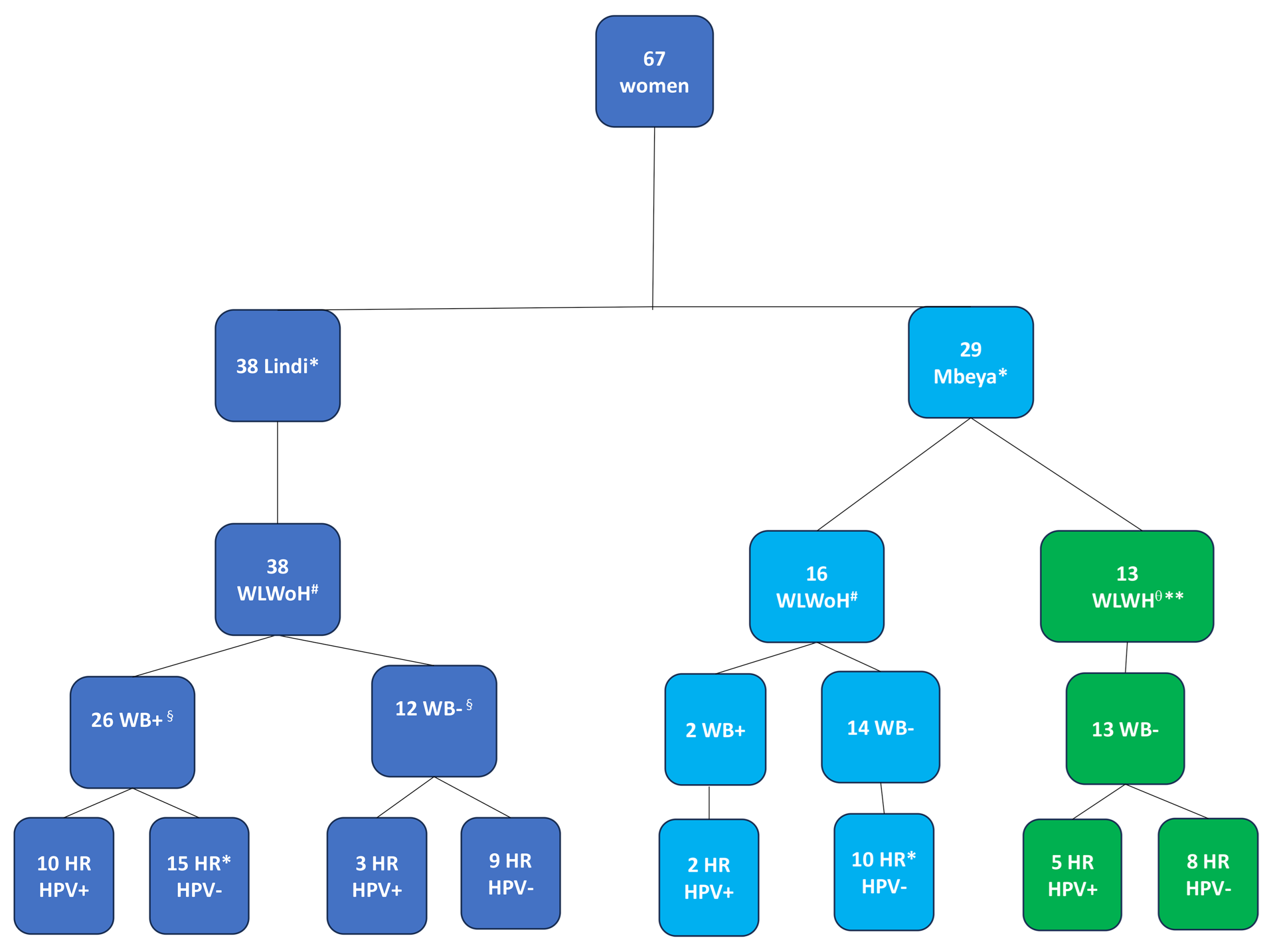 Tropicalmed 10 00317 g001