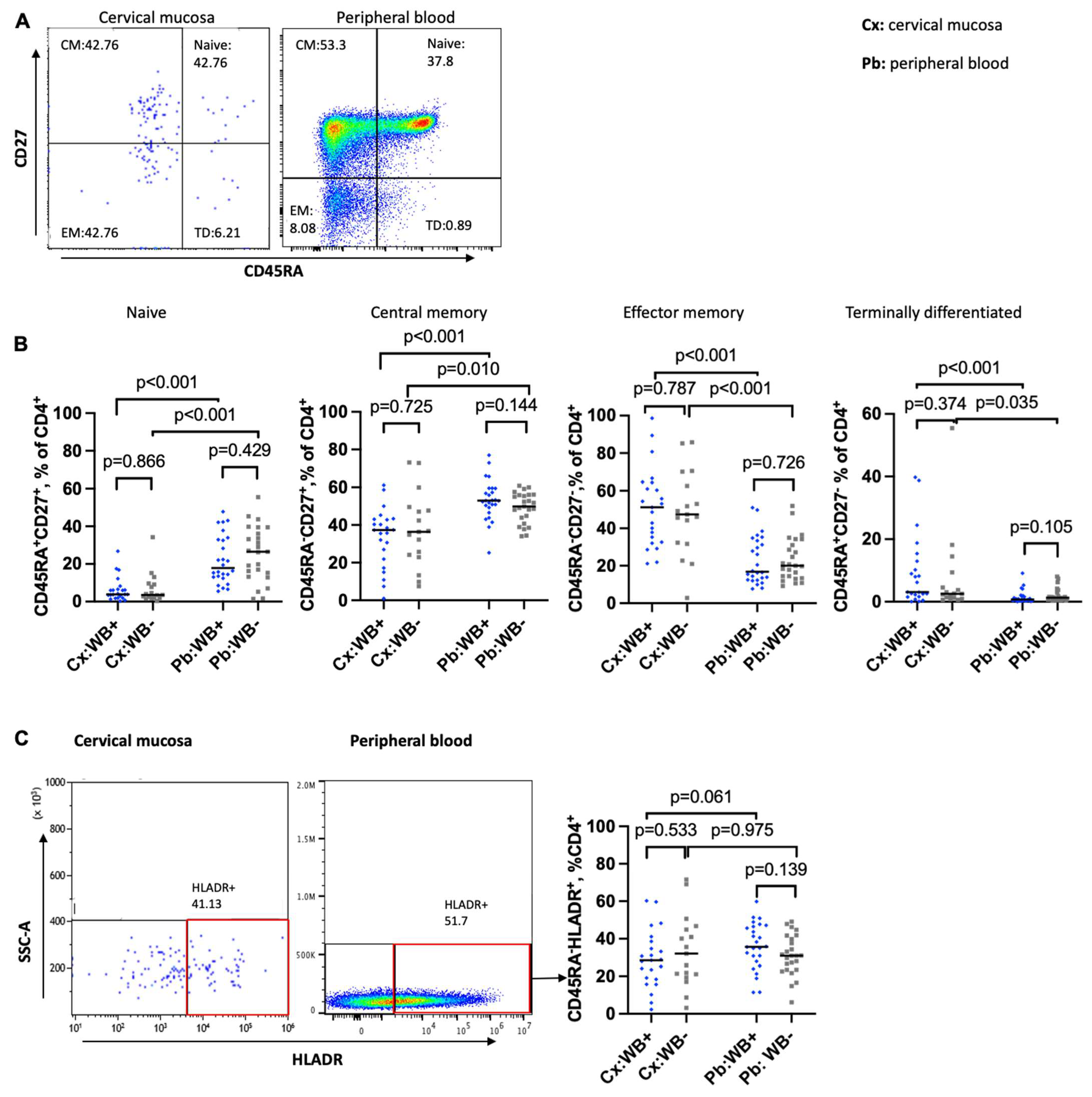 Tropicalmed 10 00317 g002