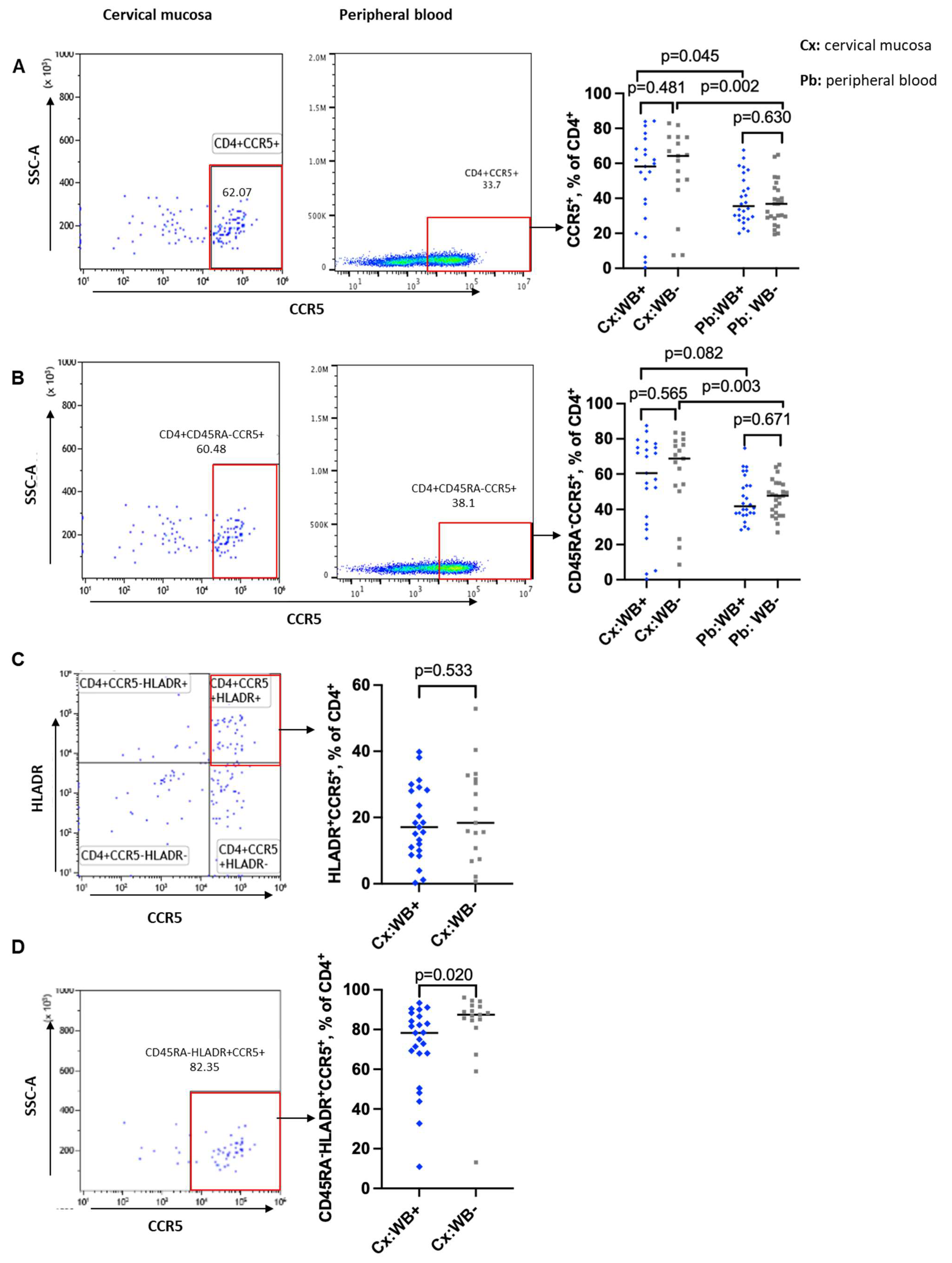 Tropicalmed 10 00317 g003