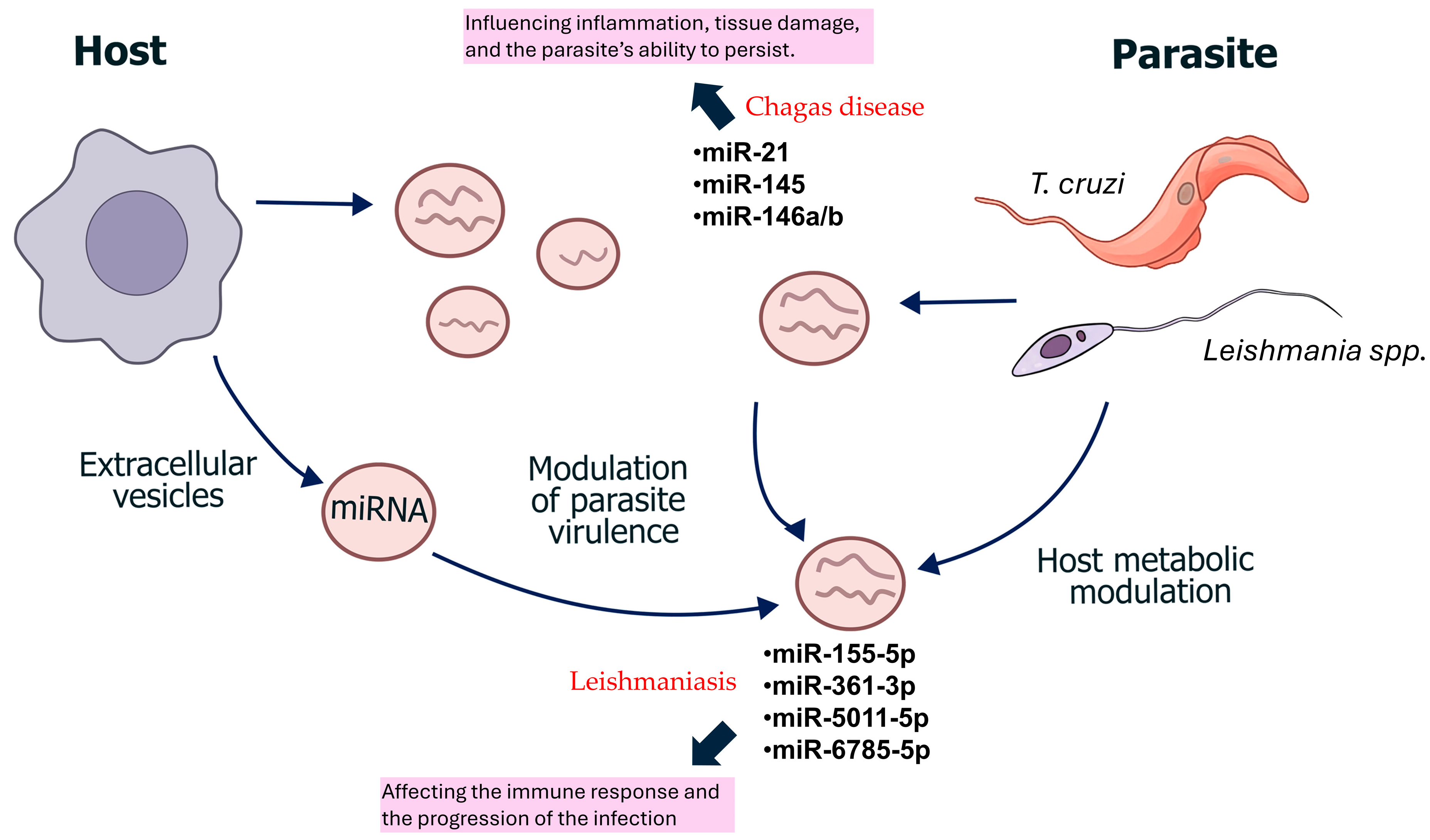 Tropicalmed 10 00319 g002