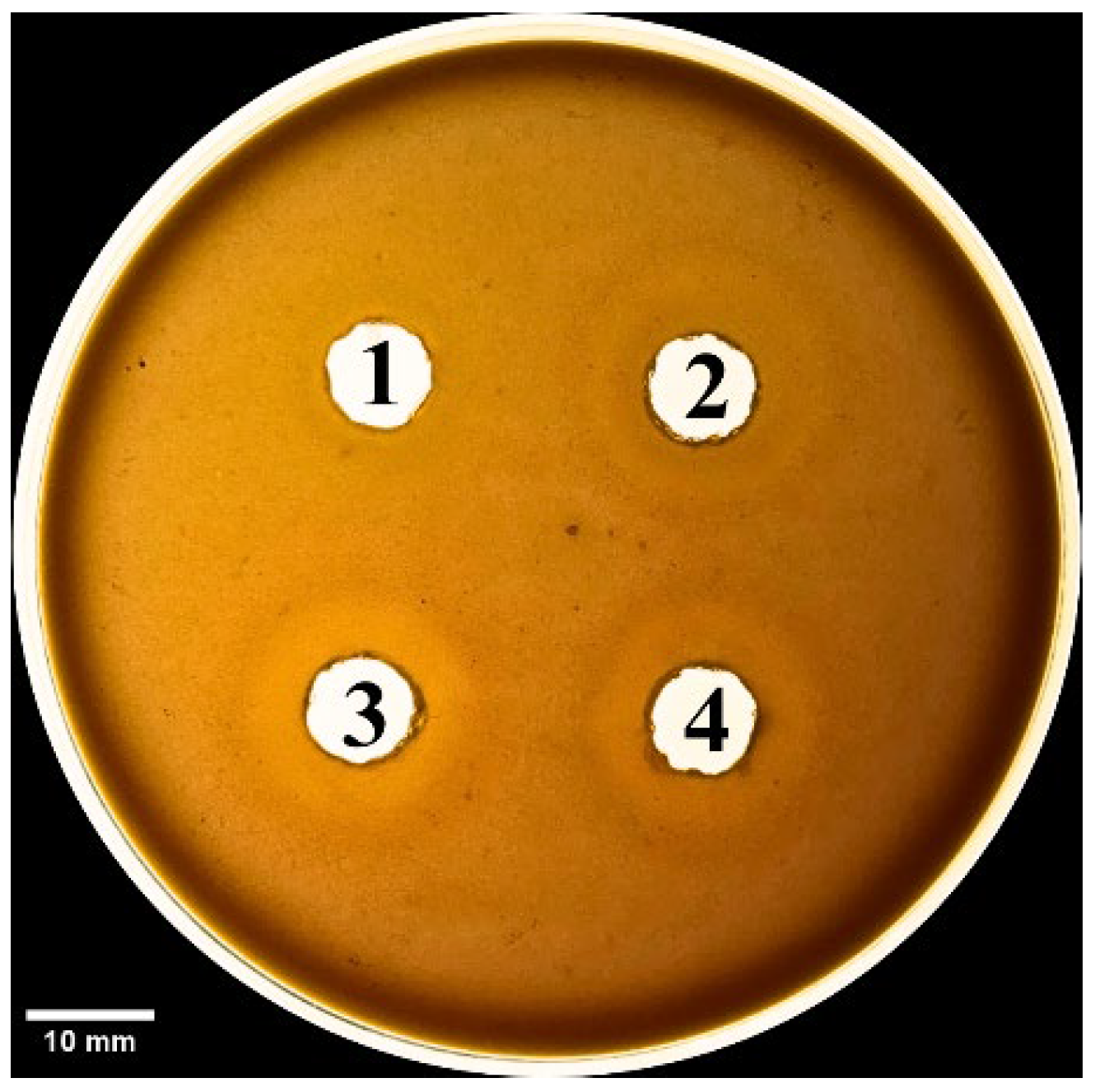 Tropicalmed 10 00331 g008