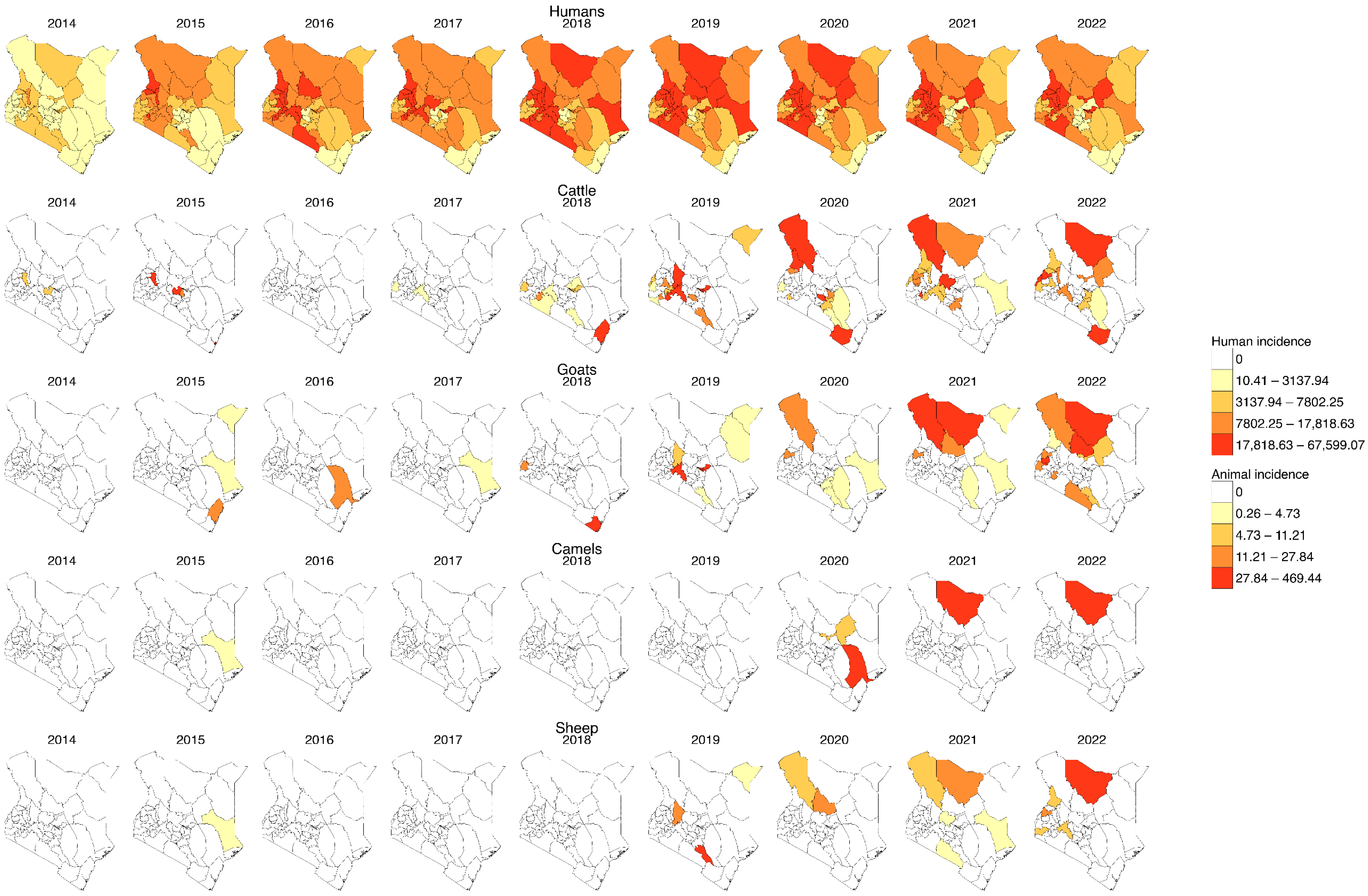 Tropicalmed 10 00344 g003