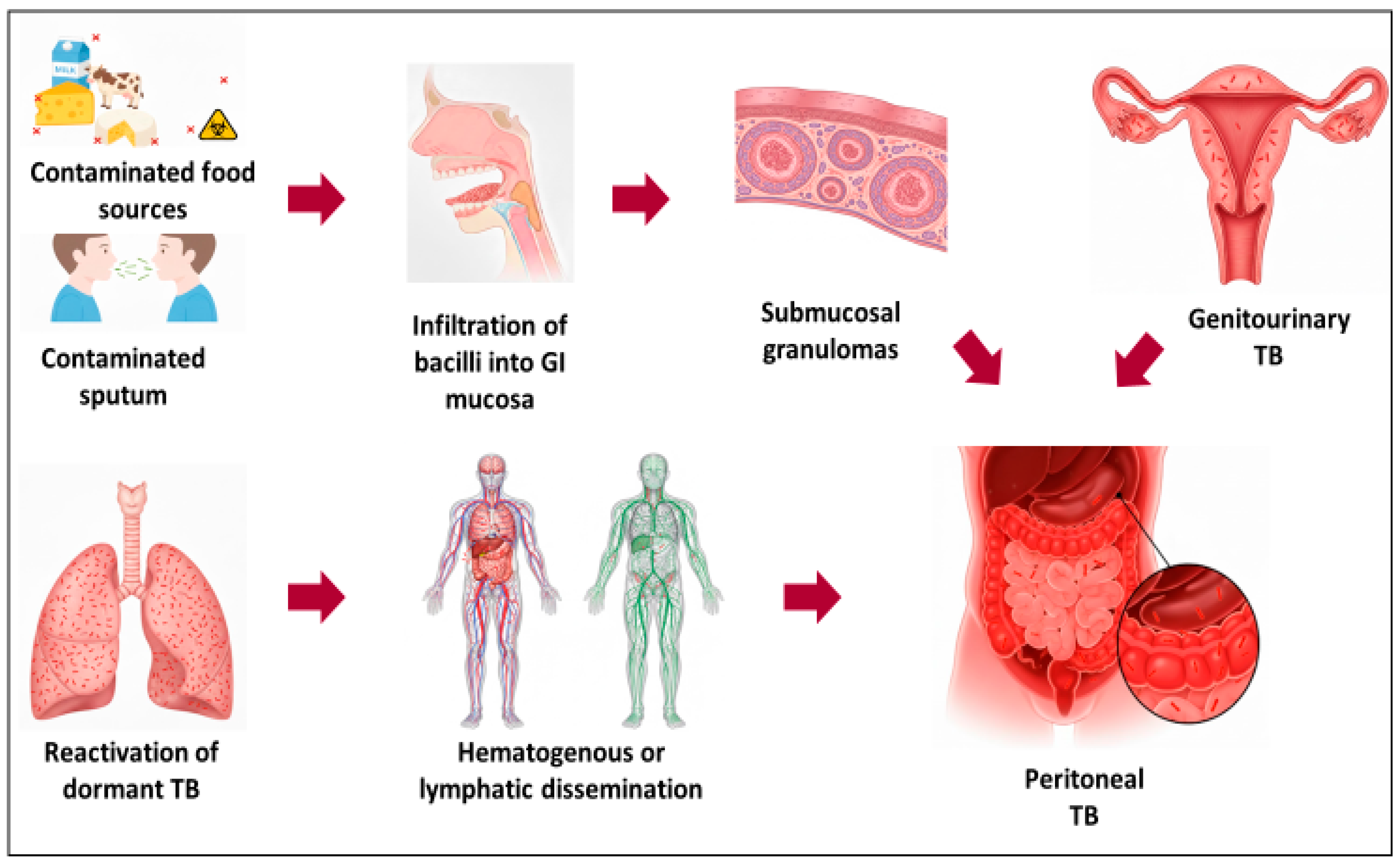 Tropicalmed 10 00346 g003