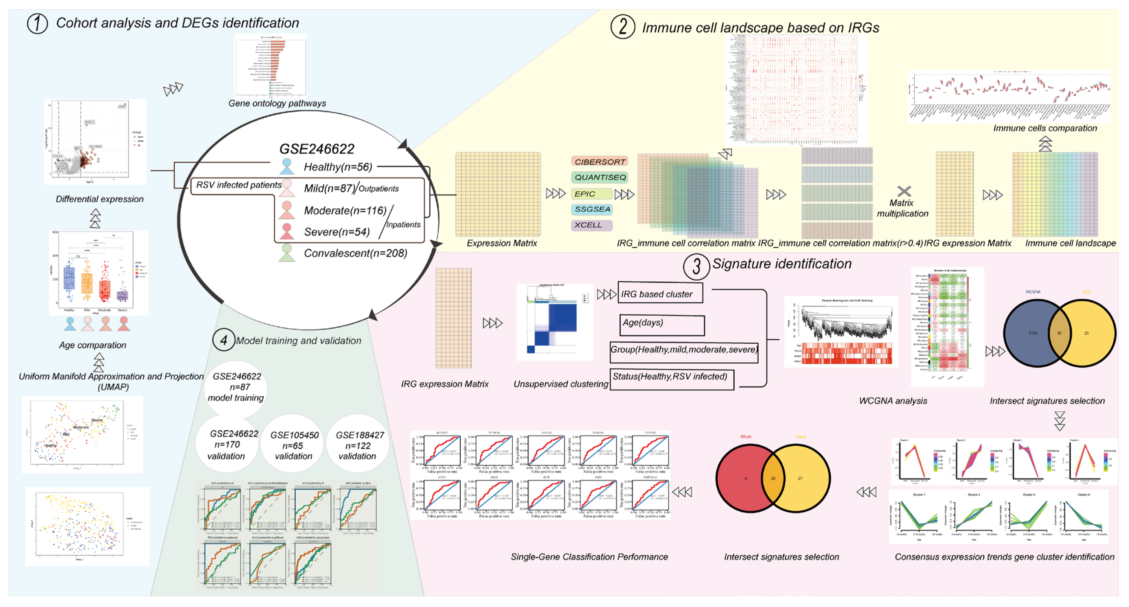 Tropicalmed 11 00010 g001