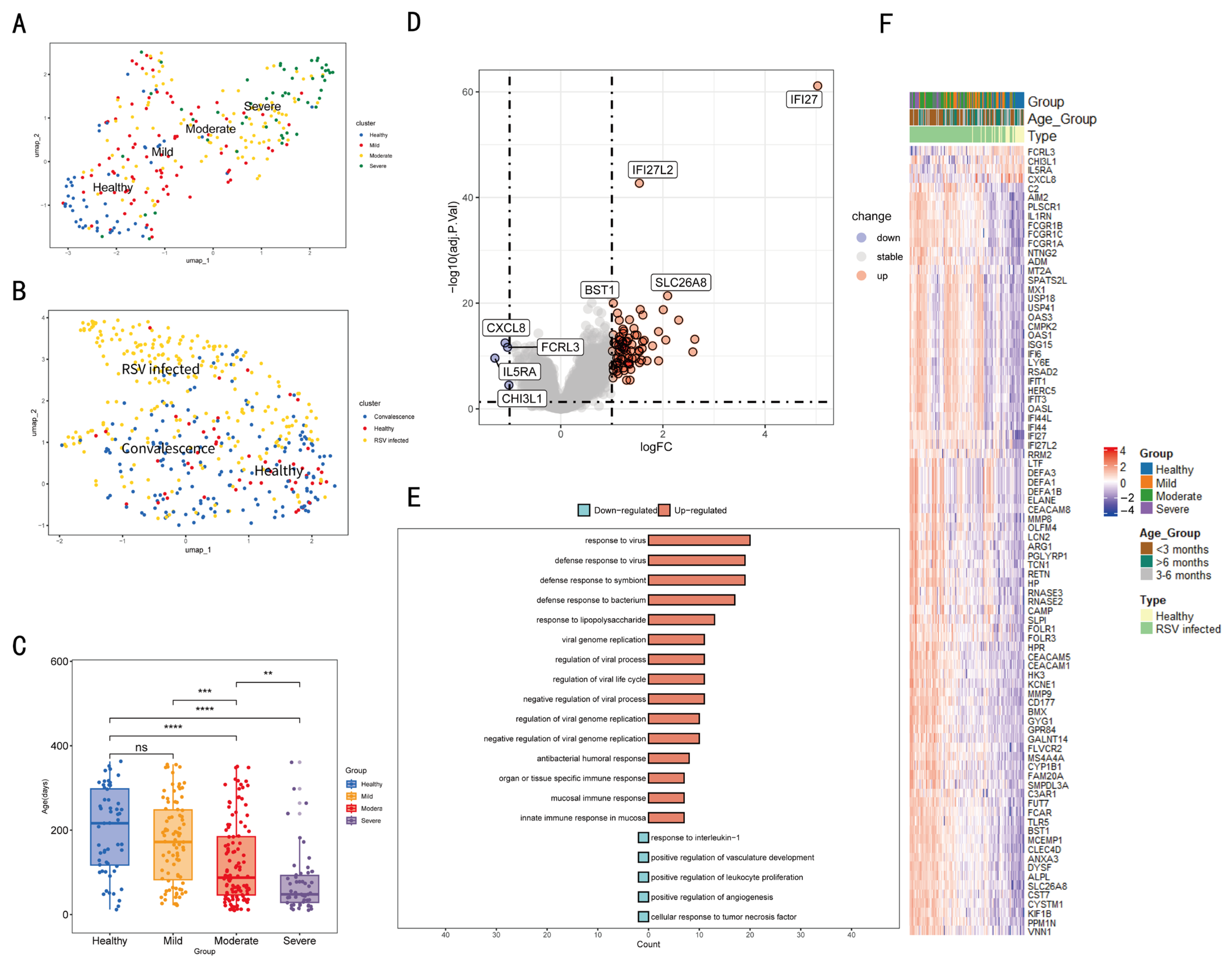 Tropicalmed 11 00010 g002