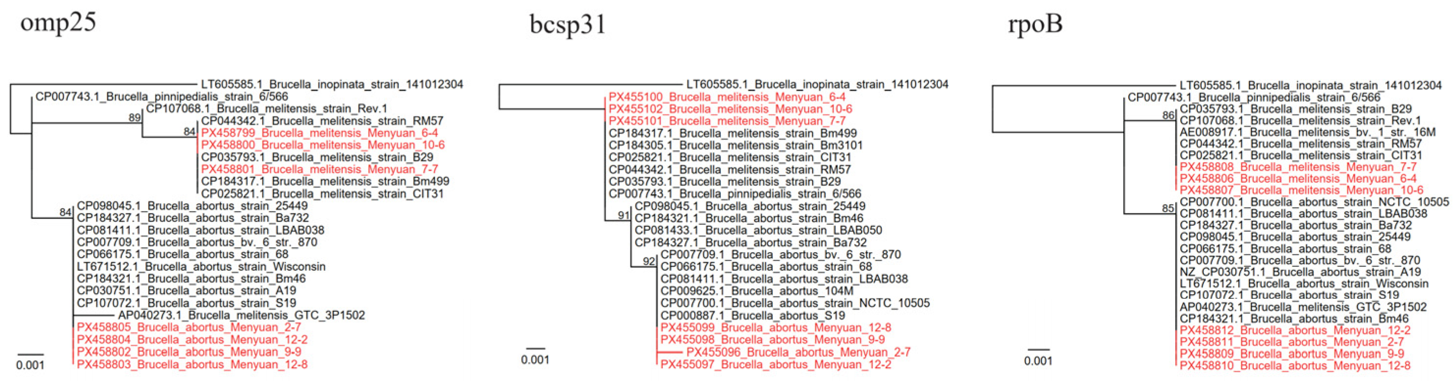 Tropicalmed 11 00017 g002