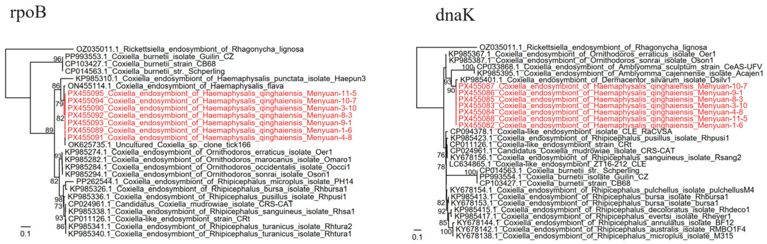 Tropicalmed 11 00017 g003