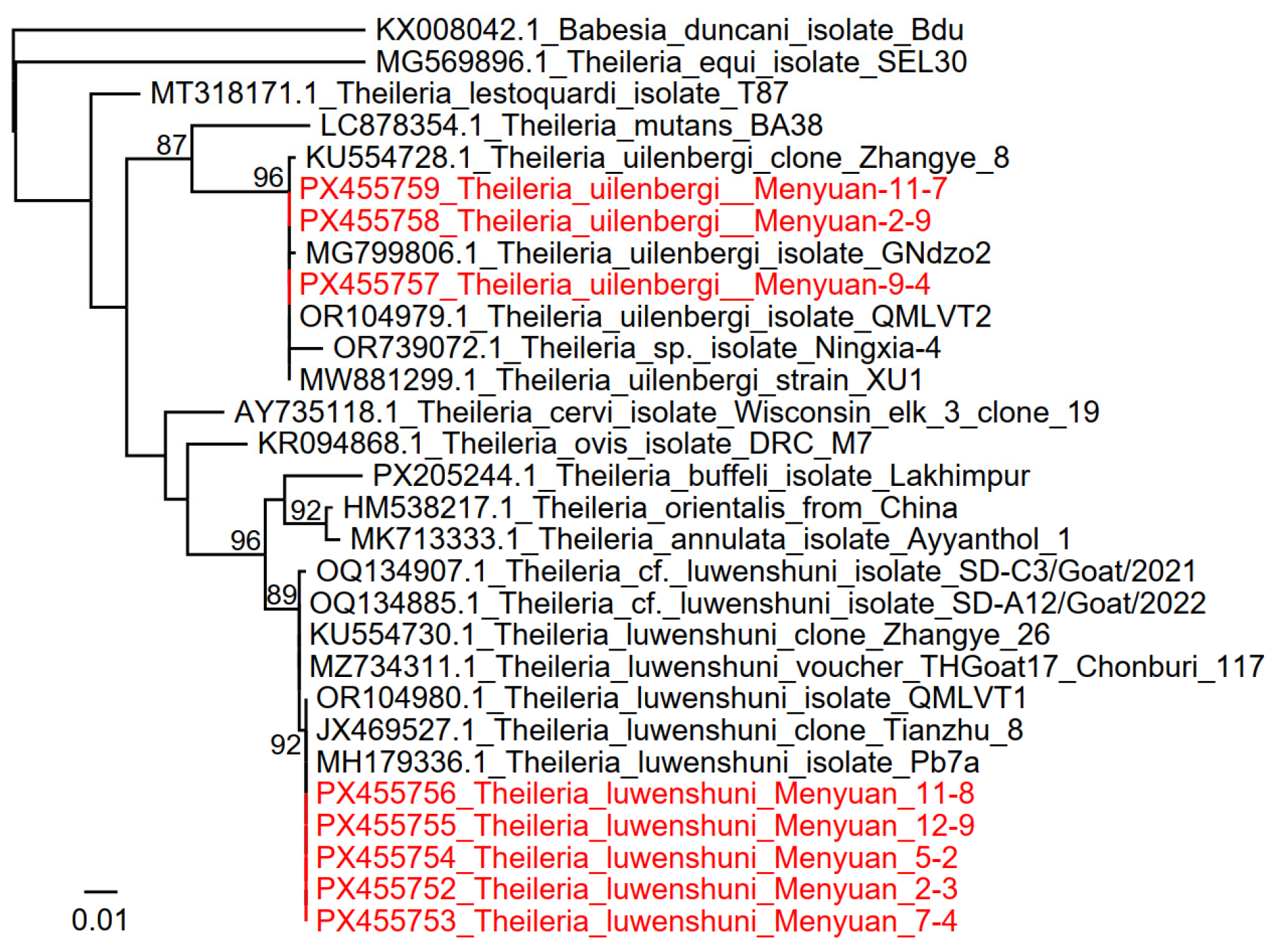 Tropicalmed 11 00017 g004