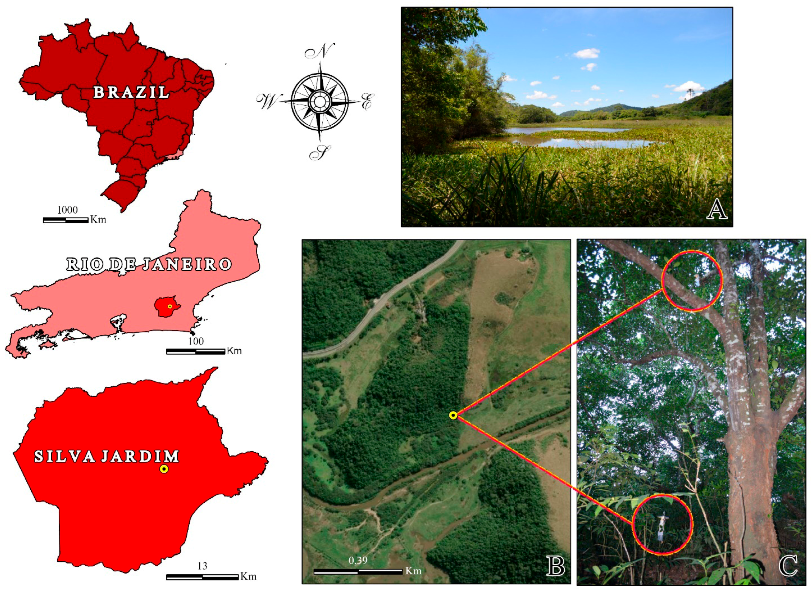 Tropicalmed 11 00039 g001