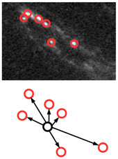 Universe 05 00177 i003