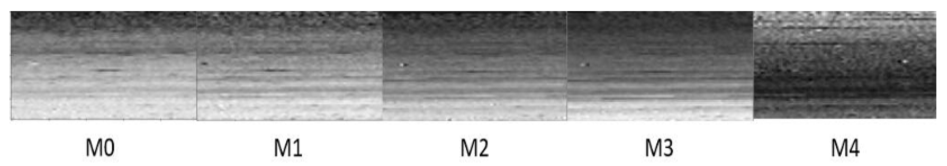 Universe 06 00060 g013