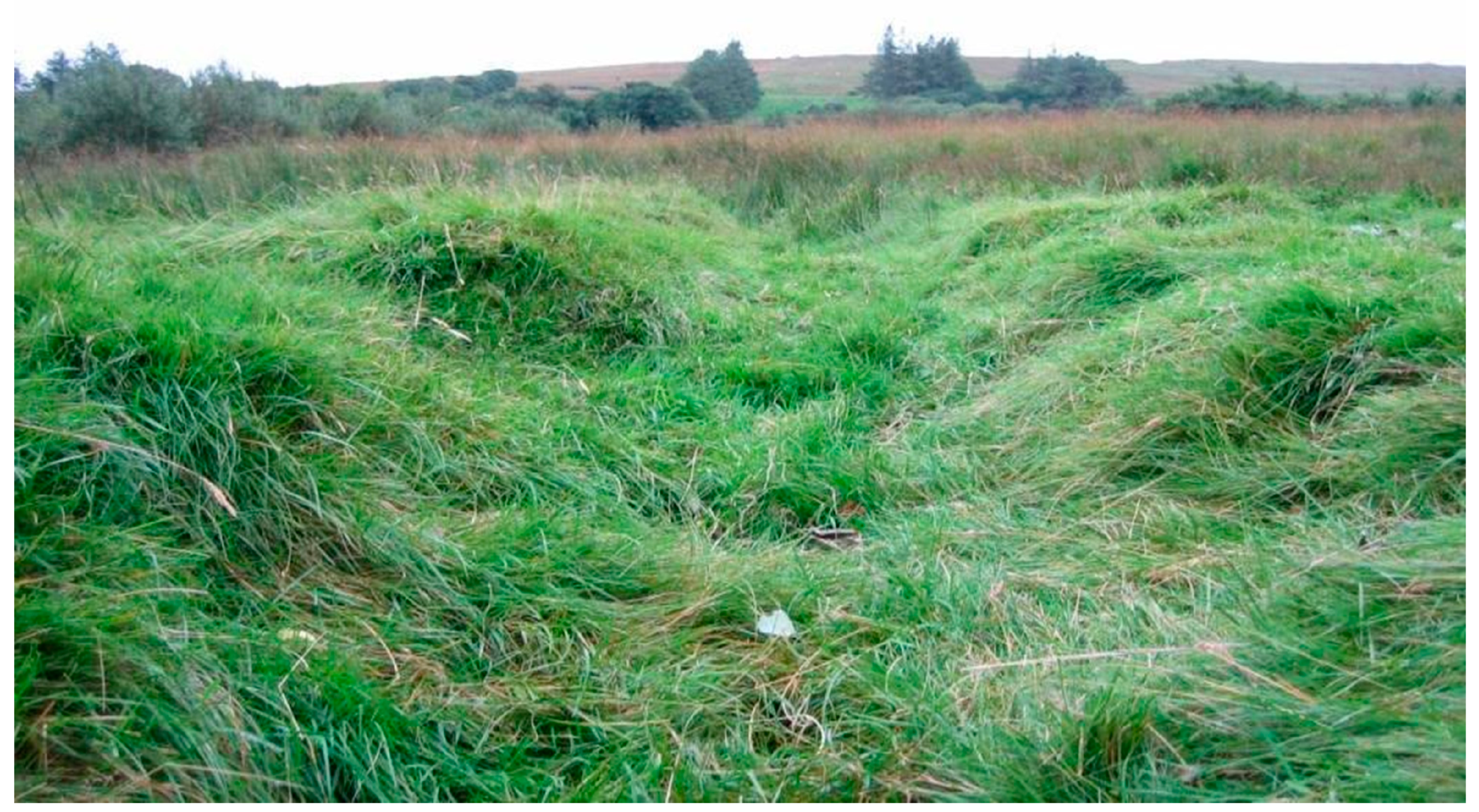 Universe 07 00035 g0a5 Universe 07 00035 g0a5