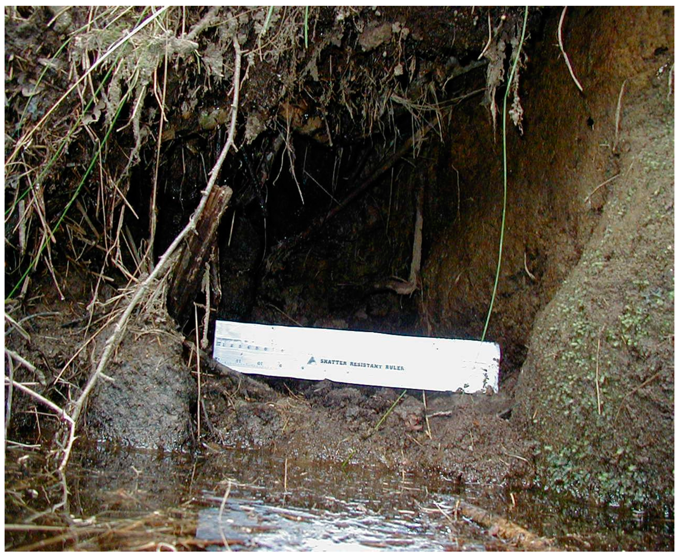 Universe 07 00035 g0a7 Universe 07 00035 g0a7