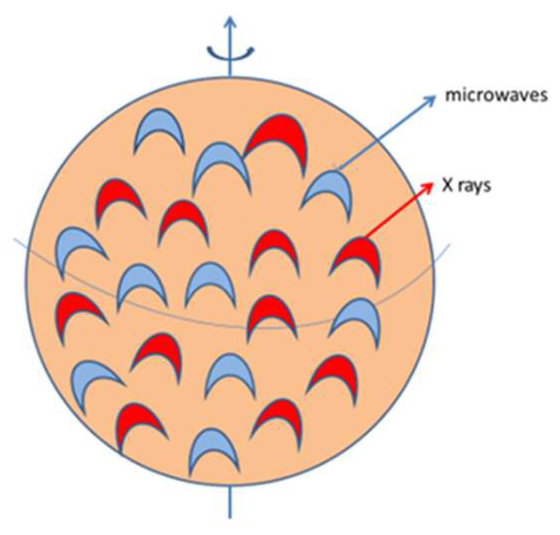 The Dwarrow Scholar on X: Some have asked what the Dwarvish words