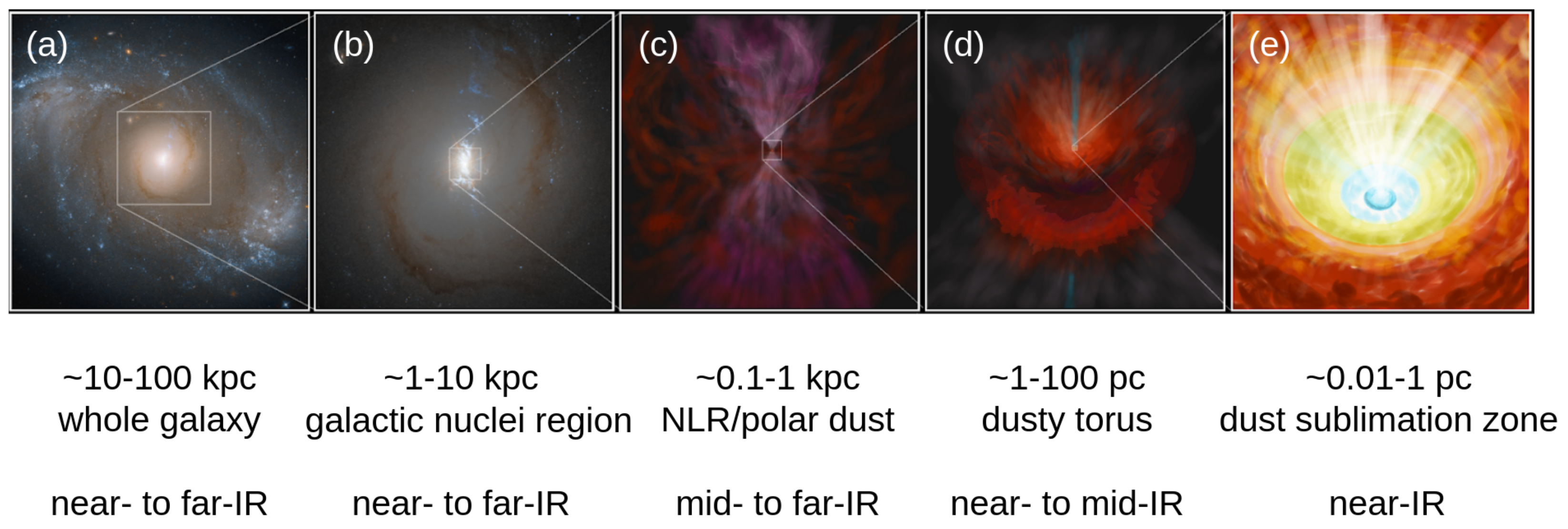 Diamond dust surrounds young galactic stars