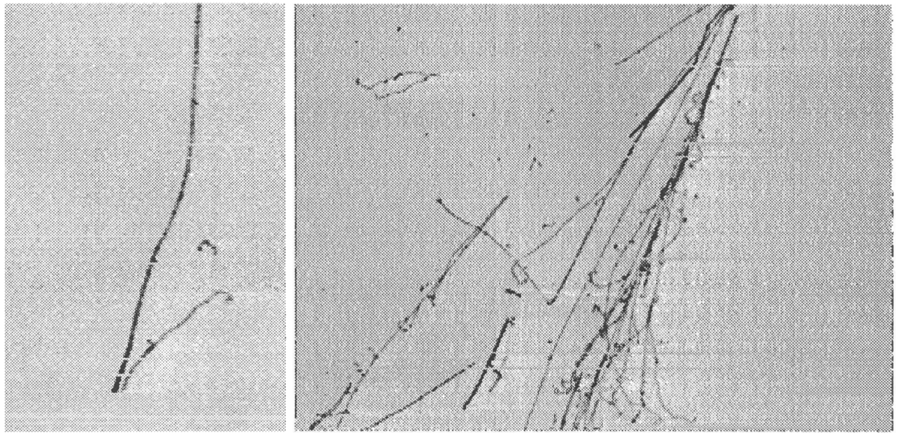 Universe 09 00074 g003 Universe 09 00074 g003