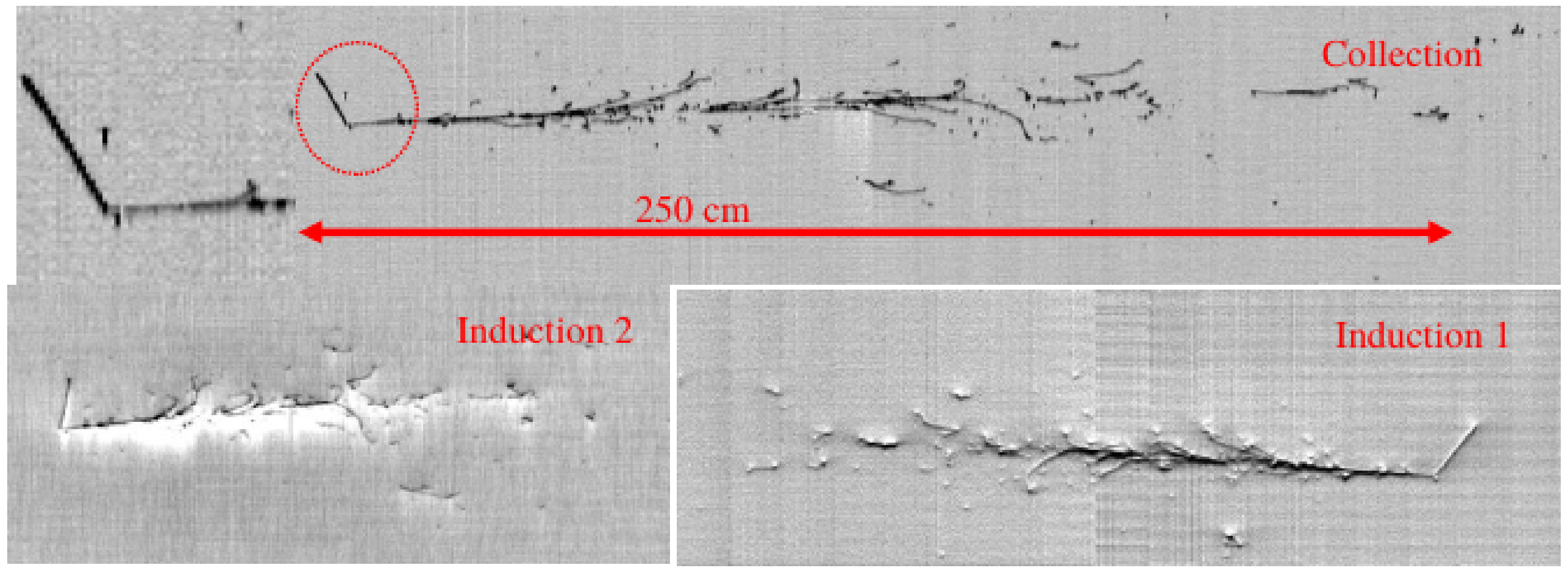 Universe 09 00074 g009 Universe 09 00074 g009