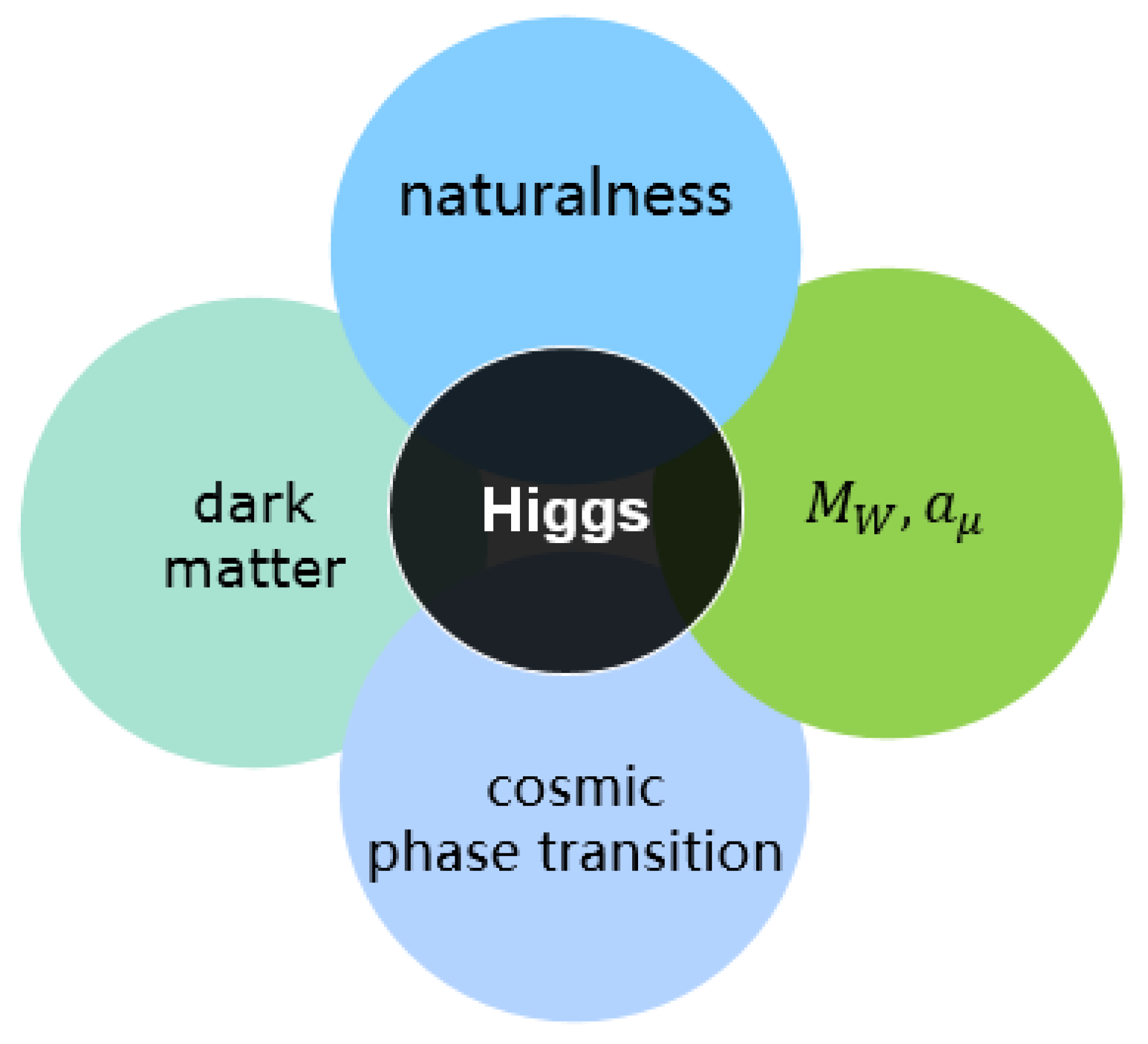 Physics Extra Test Pk. — Nature's Workshop Plus