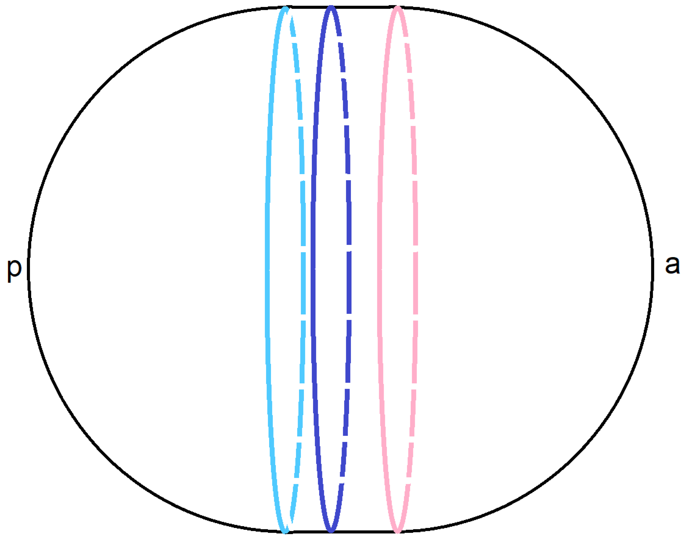 Universe 09 00368 g003