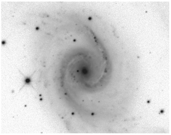 Changing-Look Narrow-Line Seyfert 1 Galaxies, their